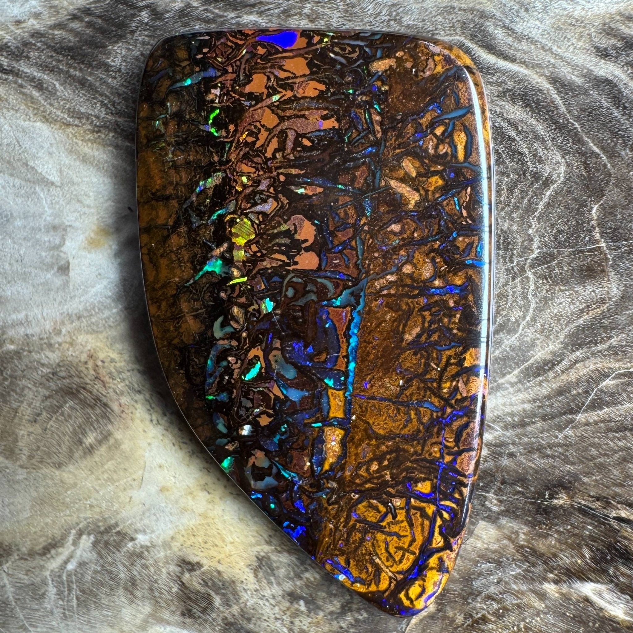 24.7ct Queensland Boulder Opal