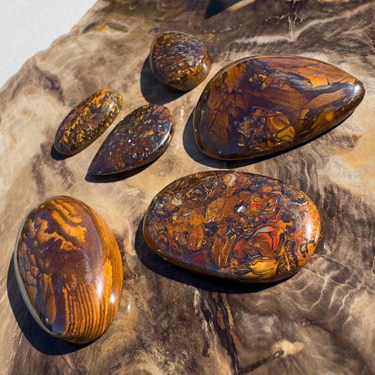 248ct Queensland Boulder Opal Parcel | Solid Australian Opal