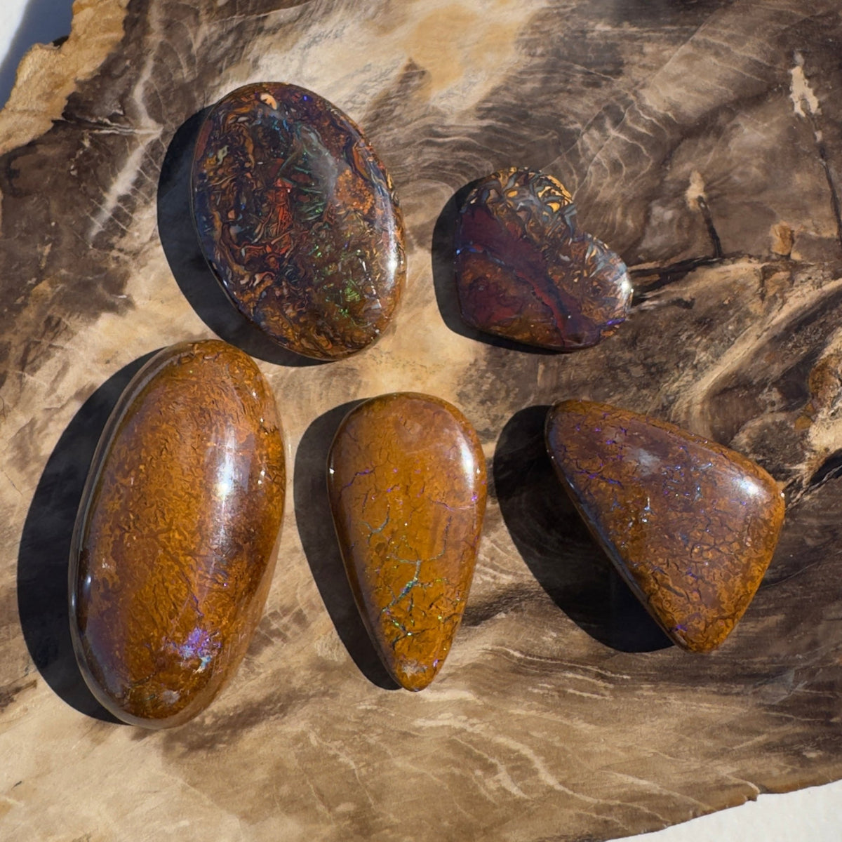 295ct Queensland Boulder Opal Parcel | Solid Australian Opal
