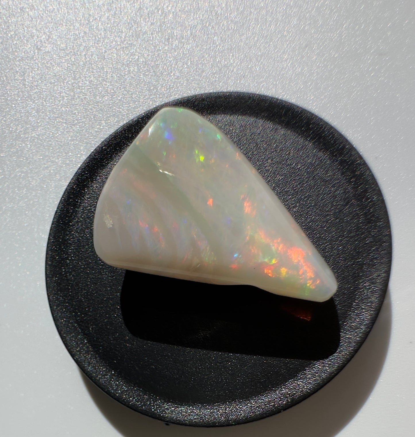 Australian Coober Pedy Opal Sea Shell 14.9carat Solid Hand Cut Luxury - Iona Opal Australia