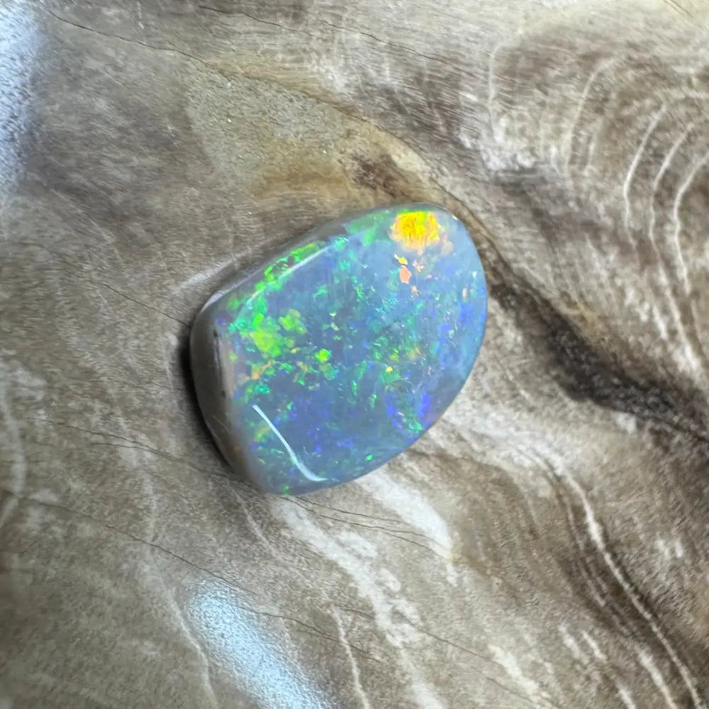 Polished Lightning Ridge semi black opal displaying vibrant color play in a 3.2 carat hand-cut gem