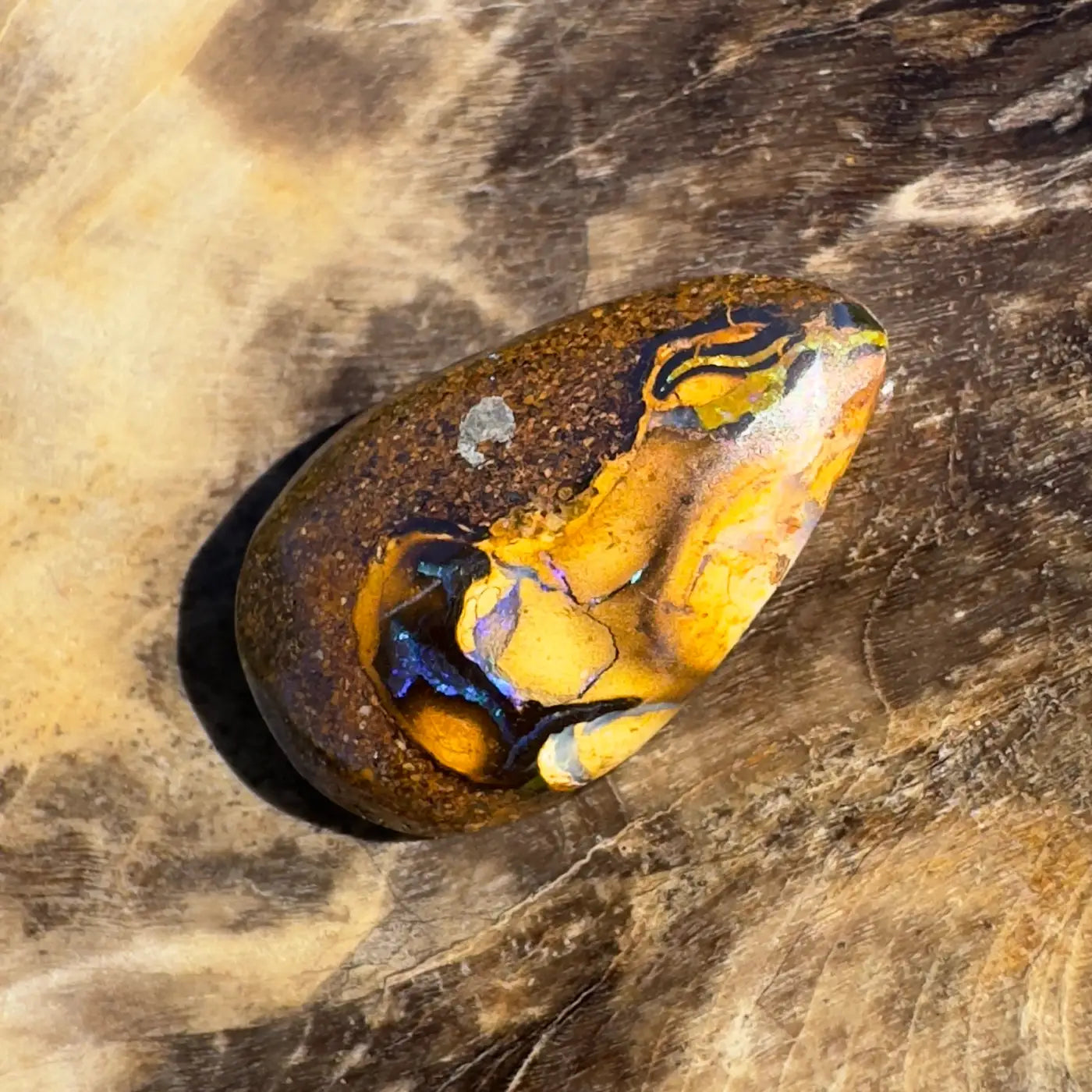 Polished Boulder Opal with vibrant color play, 3.5ct hand-cut solid Boulder Opal
