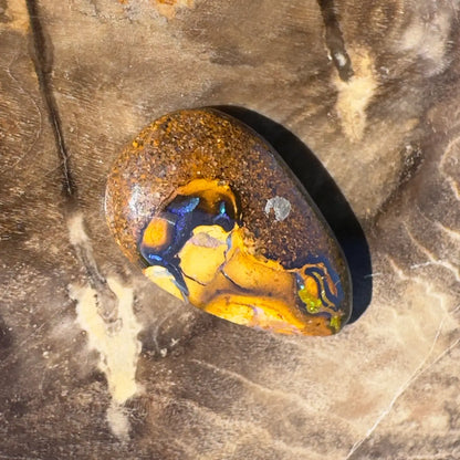 Polished 3.5ct Hand-Cut Solid Boulder Opal gemstone displaying vibrant color play