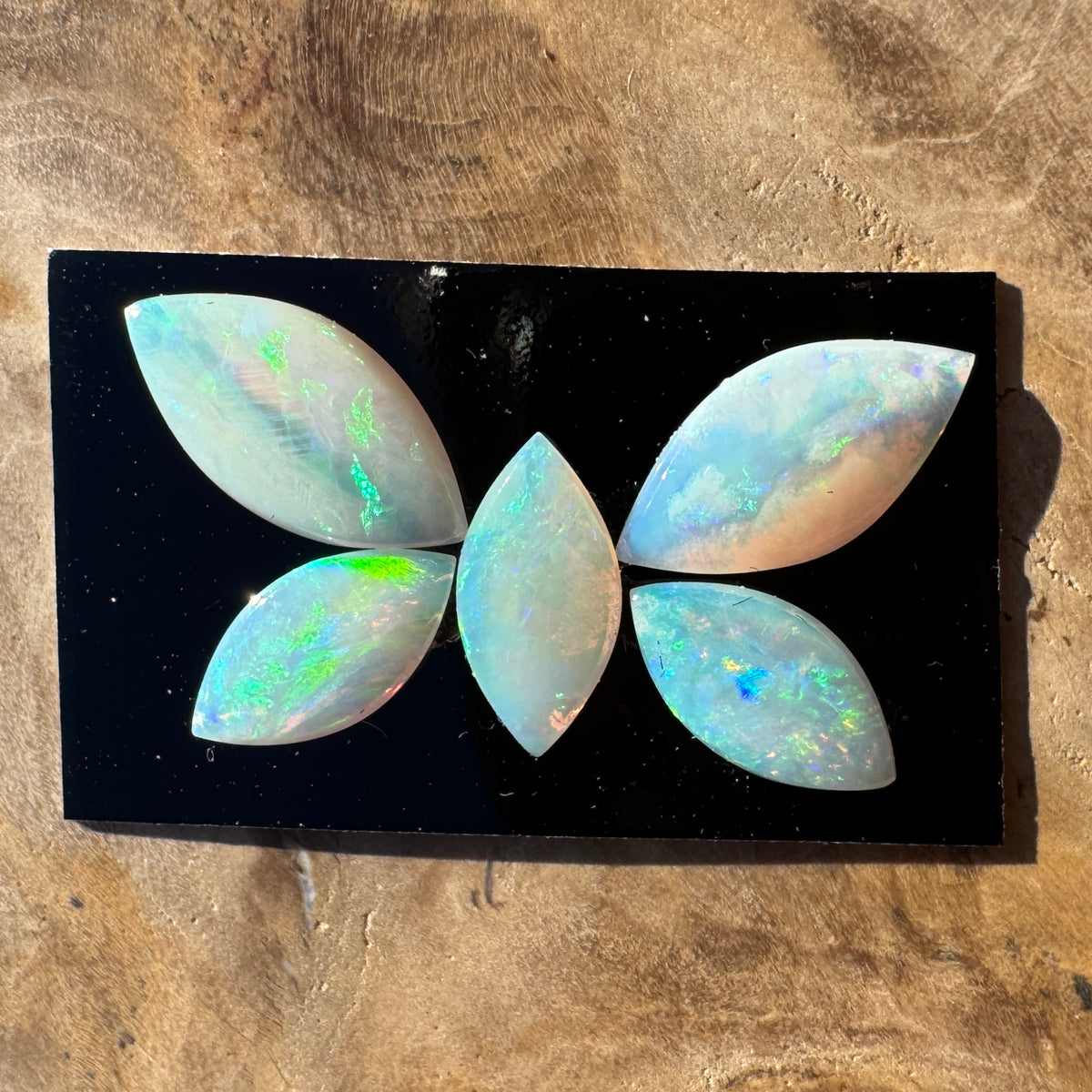 1.8ct Coober Pedy Opal Butterfly Set | Solid Australian Opal | Hand-Cut