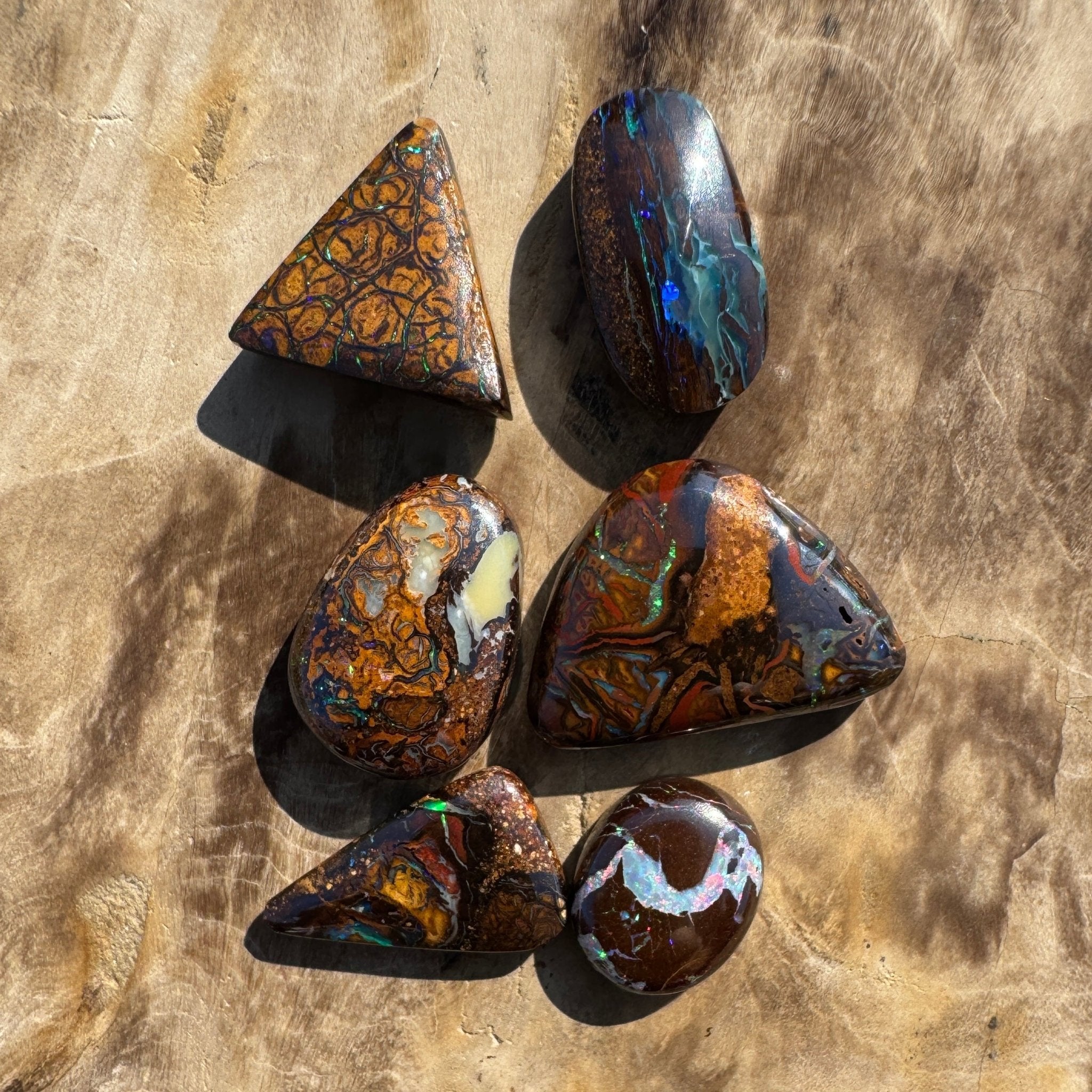 33.7ct Queensland Boulder Opal Parcel