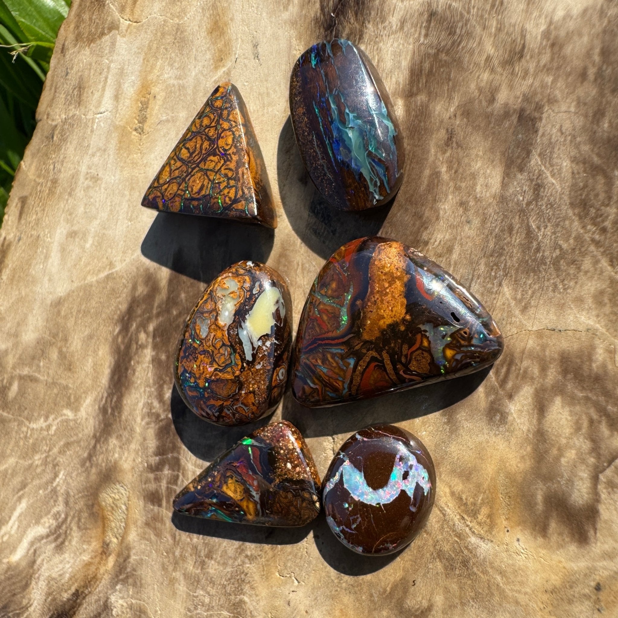 33.7ct Queensland Boulder Opal Parcel