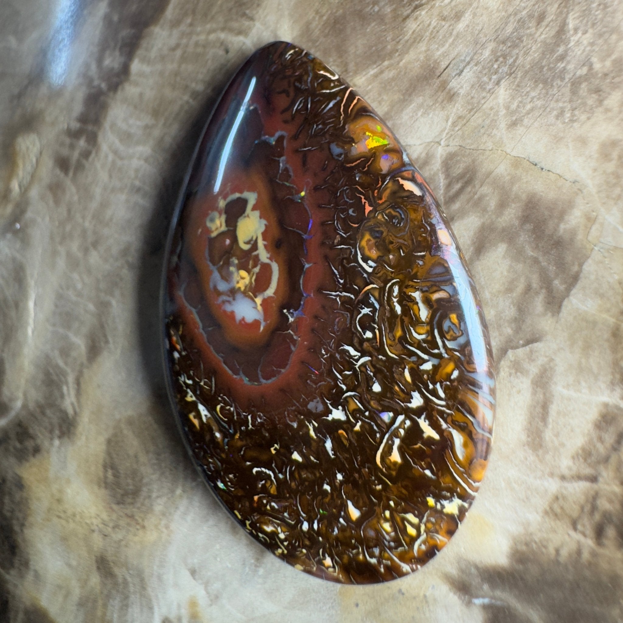 35.6ct Solid Queensland Boulder Opal