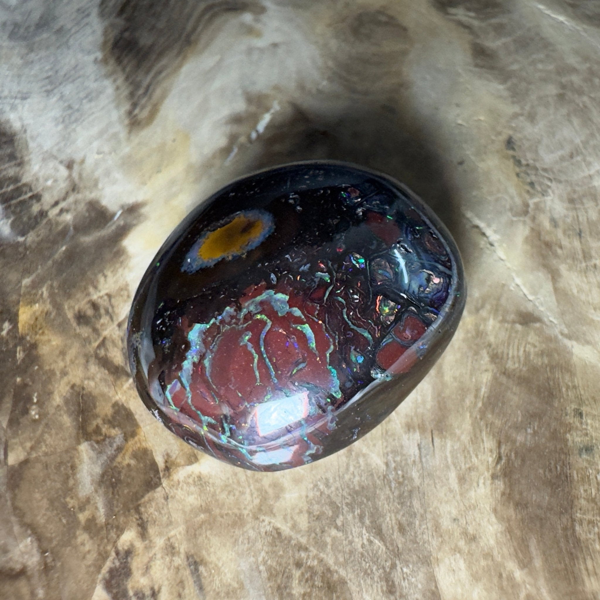 38.5ct Solid Queensland Boulder Opal