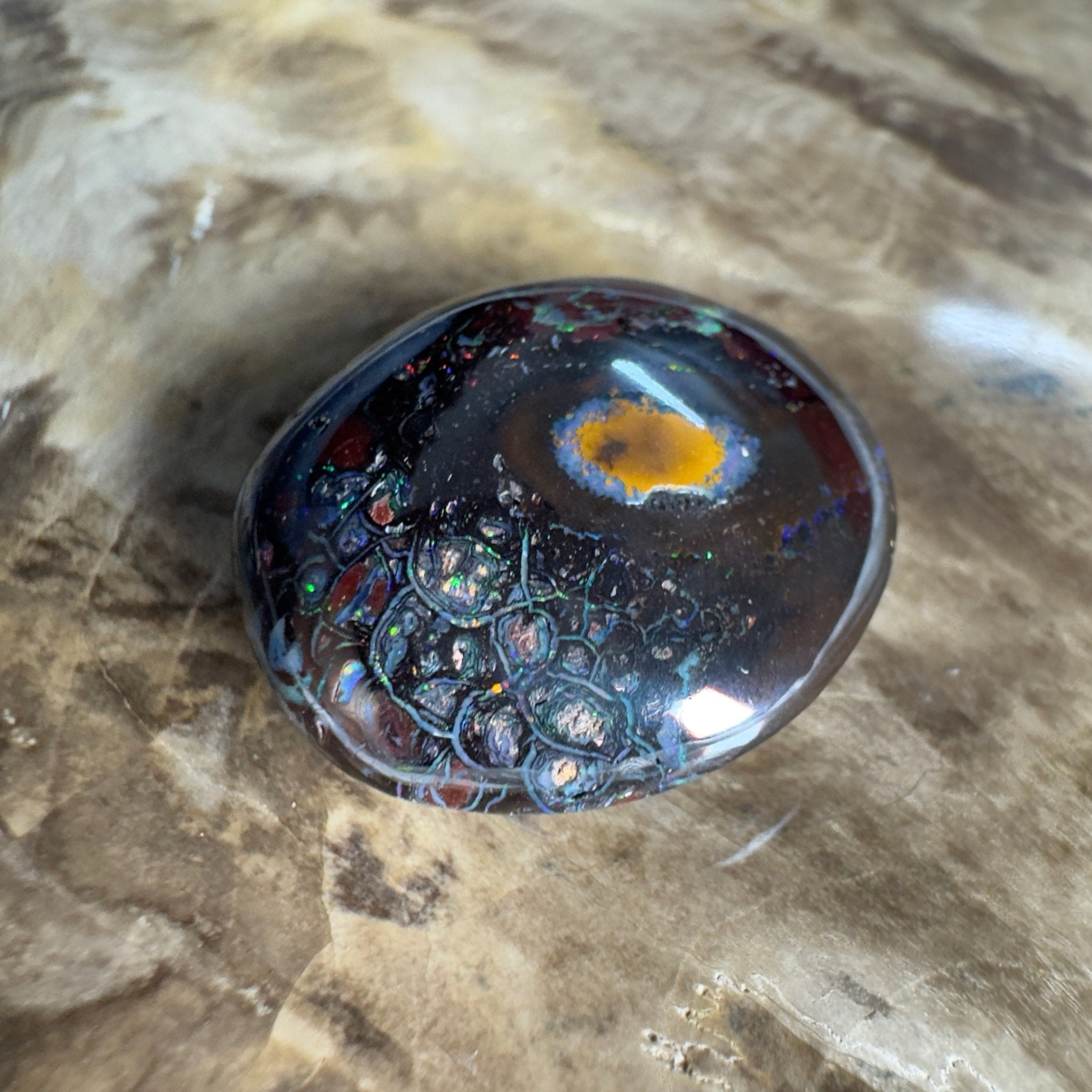38.5ct Solid Queensland Boulder Opal