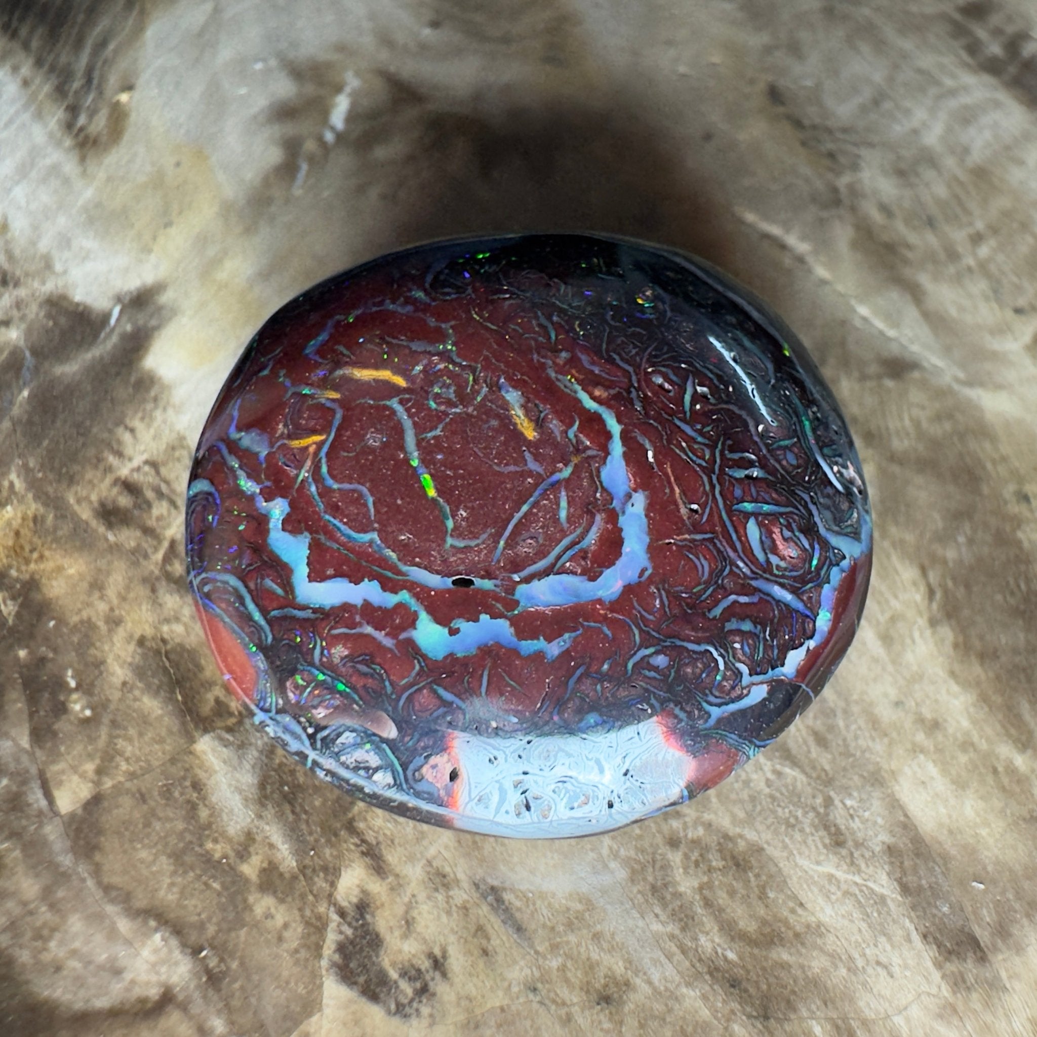 38.5ct Solid Queensland Boulder Opal