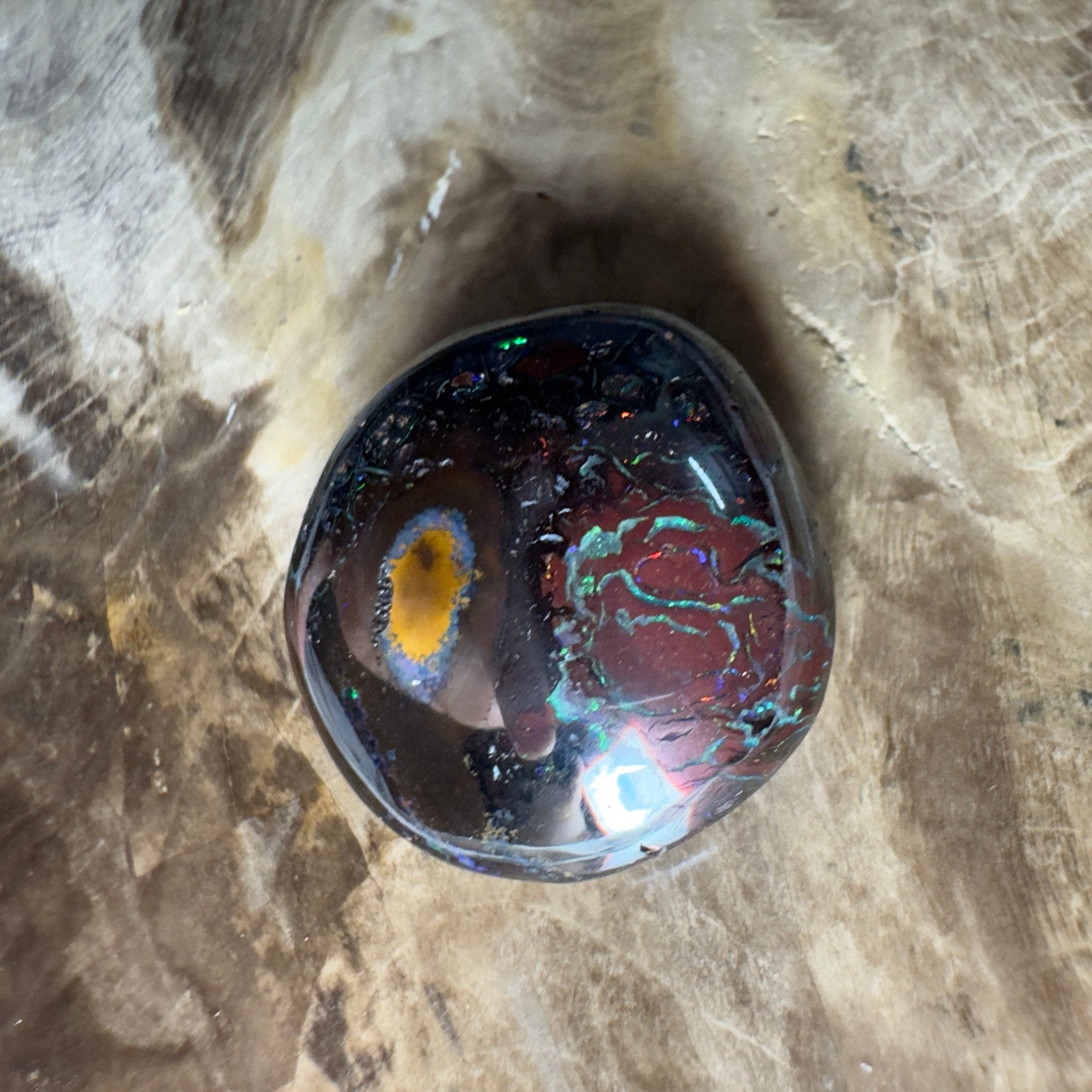 38.5ct Solid Queensland Boulder Opal