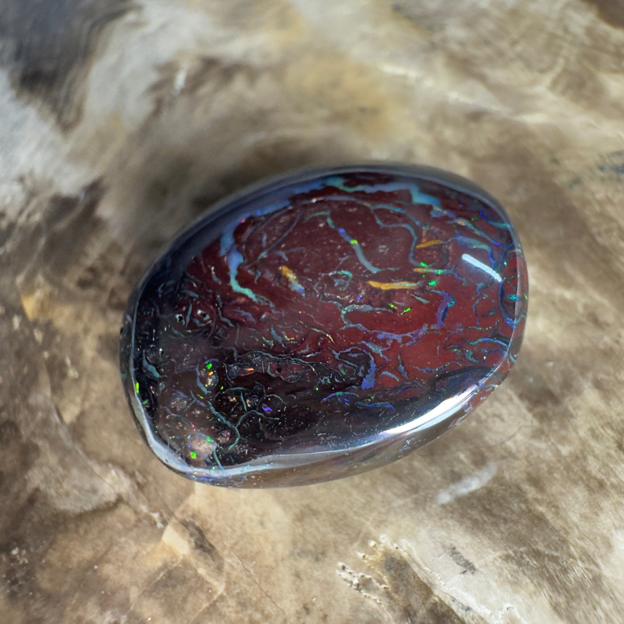 38.5ct Solid Queensland Boulder Opal