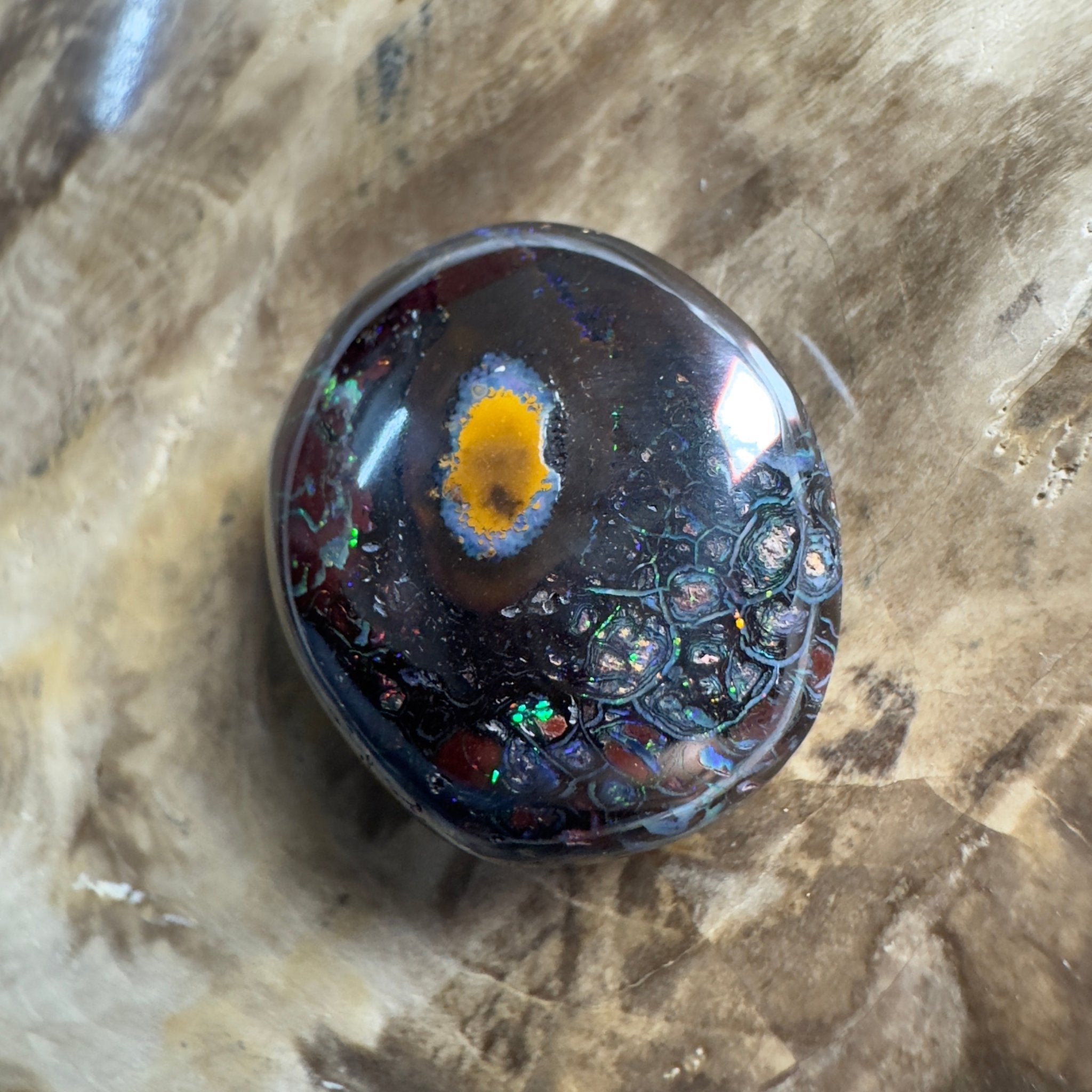 38.5ct Solid Queensland Boulder Opal