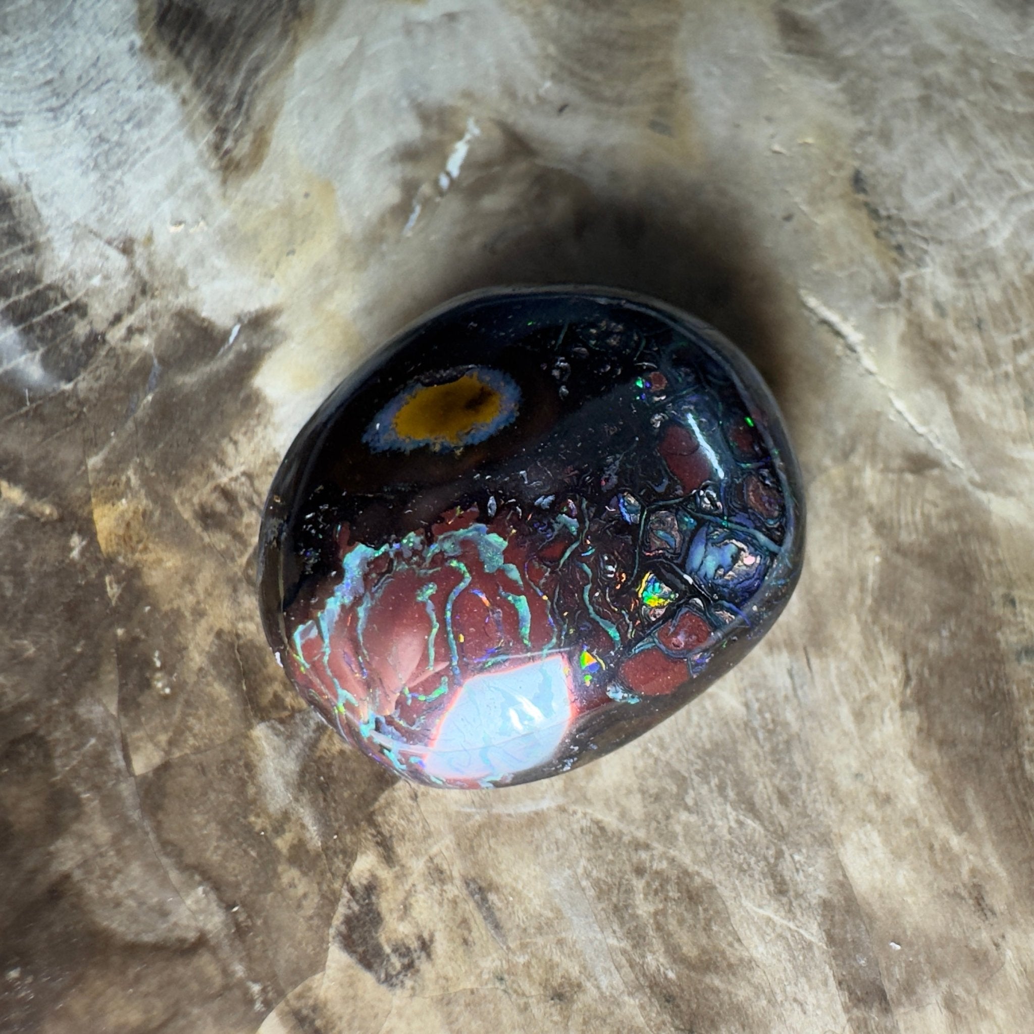 38.5ct Solid Queensland Boulder Opal