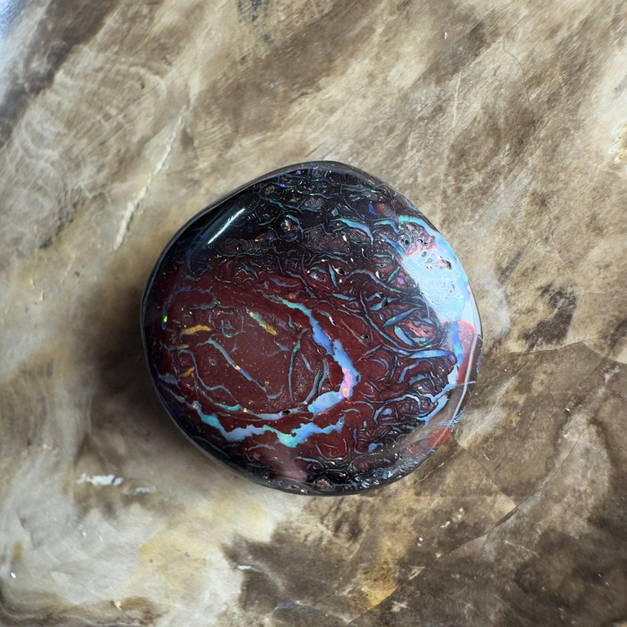 38.5ct Solid Queensland Boulder Opal