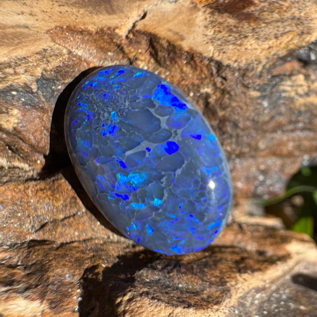 4.1ct Lightning Ridge Black Opal | Solid Australian Opal | Hand-Cut