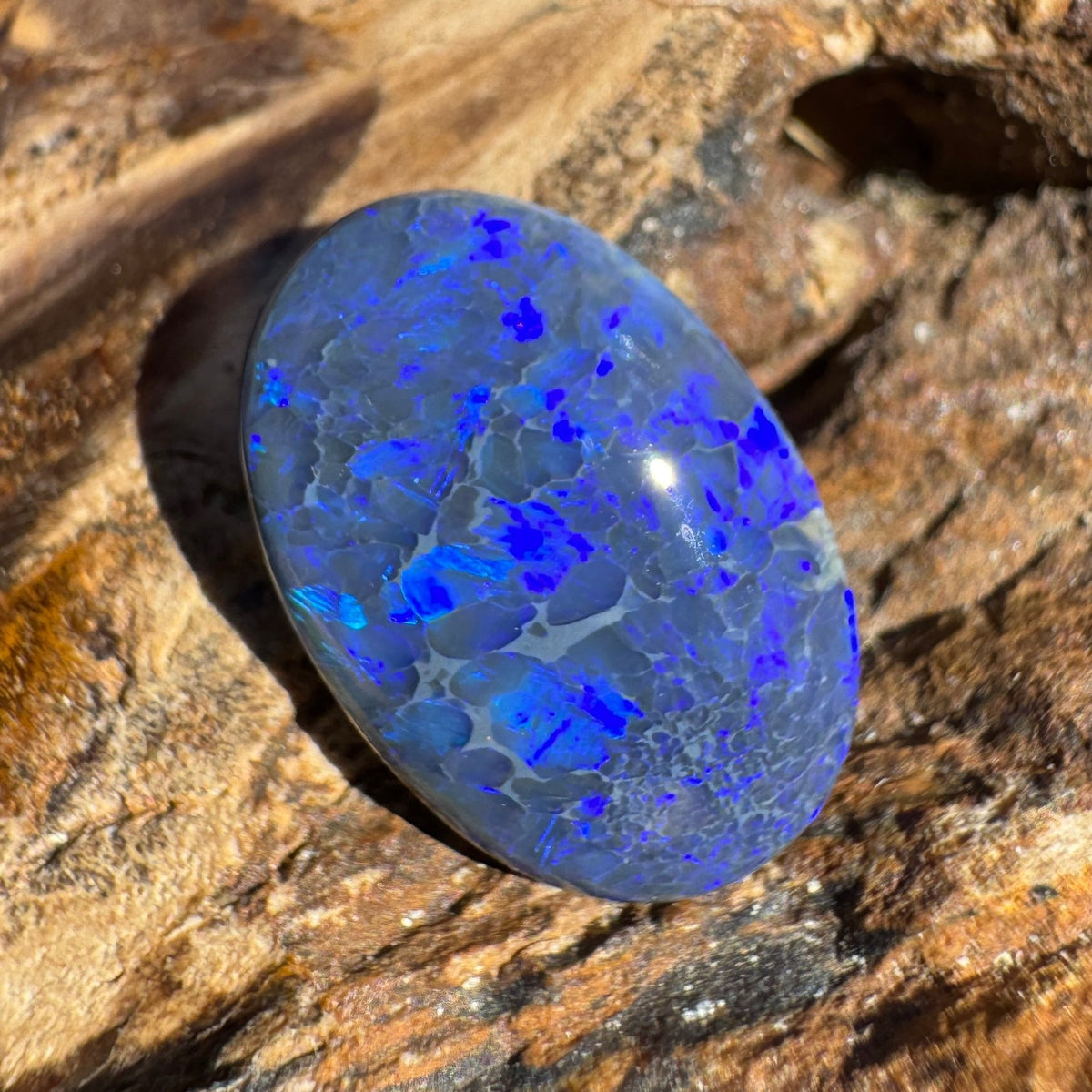 4.1ct Lightning Ridge Black Opal | Solid Australian Opal | Hand-Cut