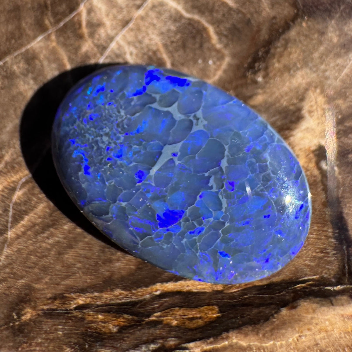 4.1ct Lightning Ridge Black Opal | Solid Australian Opal | Hand-Cut