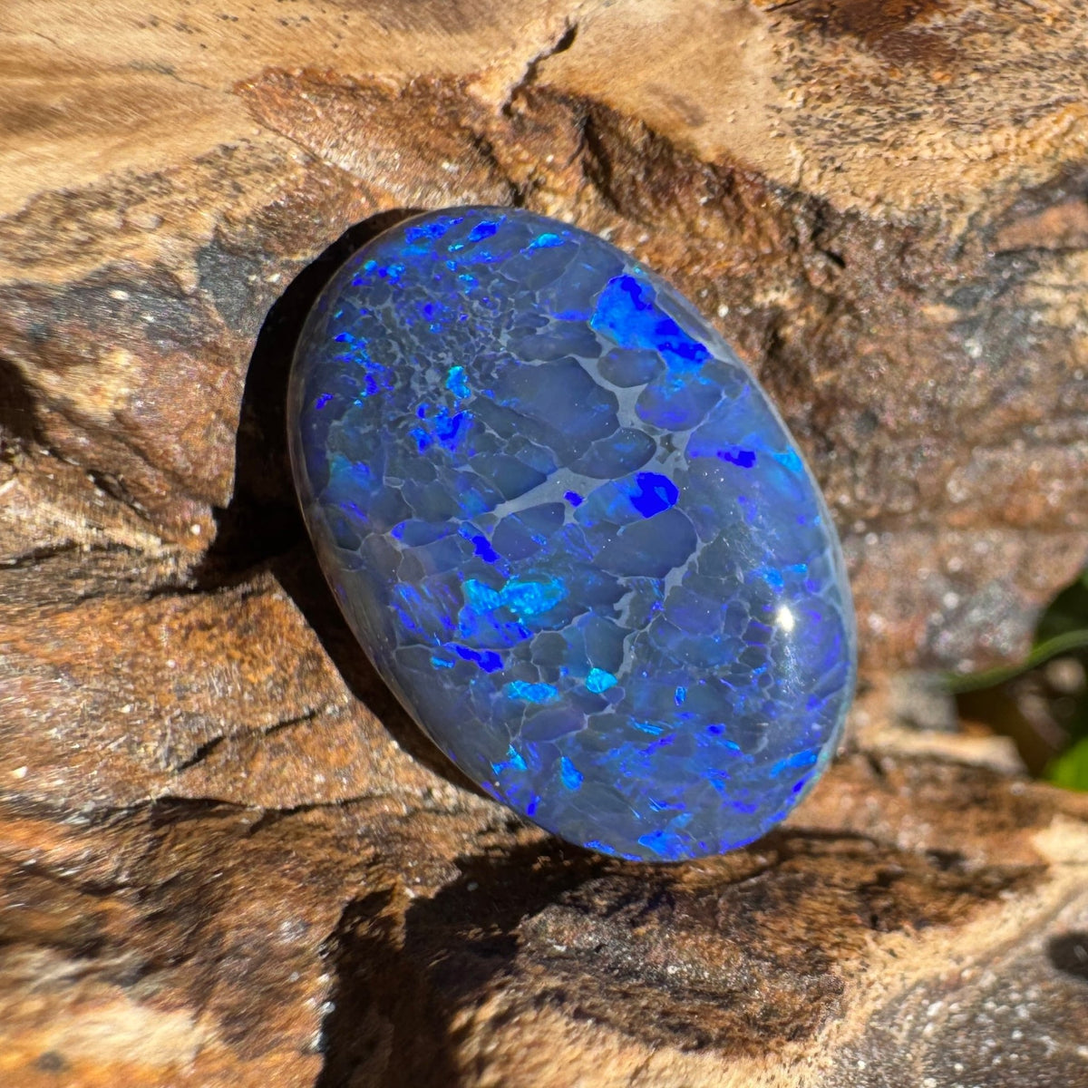 4.1ct Lightning Ridge Black Opal | Solid Australian Opal | Hand-Cut