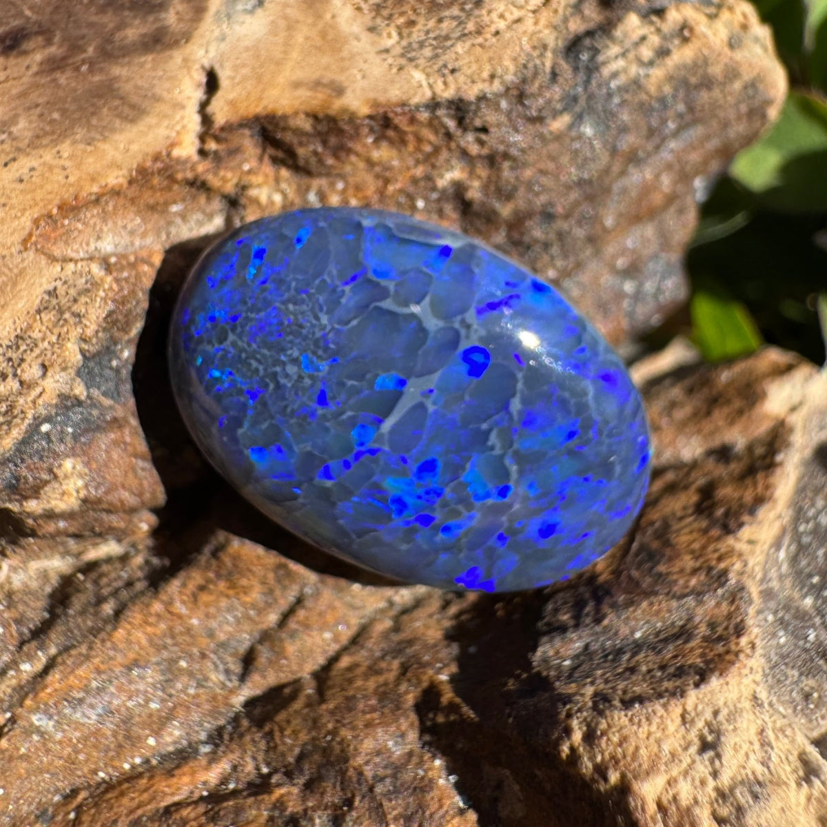 4.1ct Lightning Ridge Black Opal | Solid Australian Opal | Hand-Cut