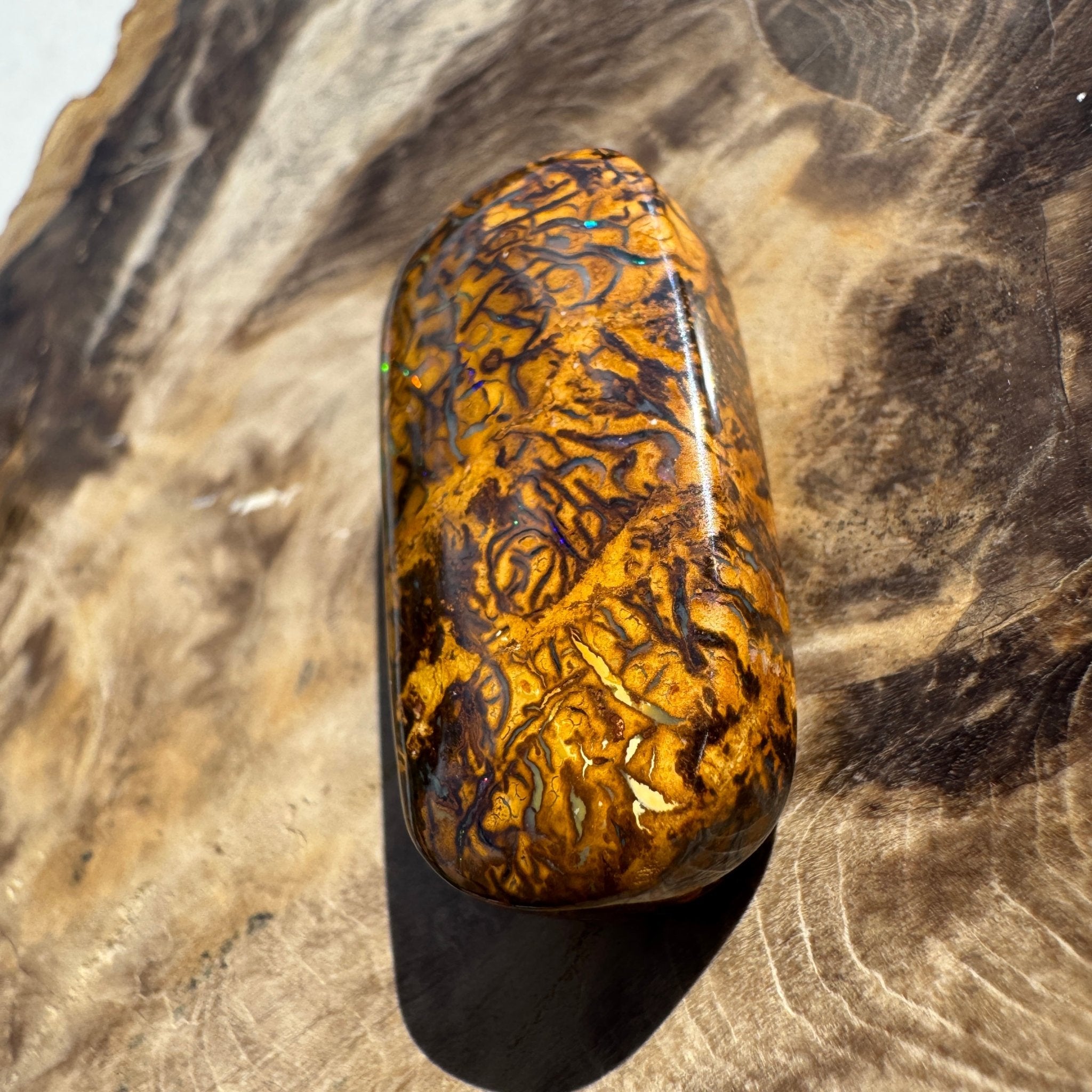 41ct Winton Queensland Boulder Opal | Solid Australian Opal | Hand-Cut
