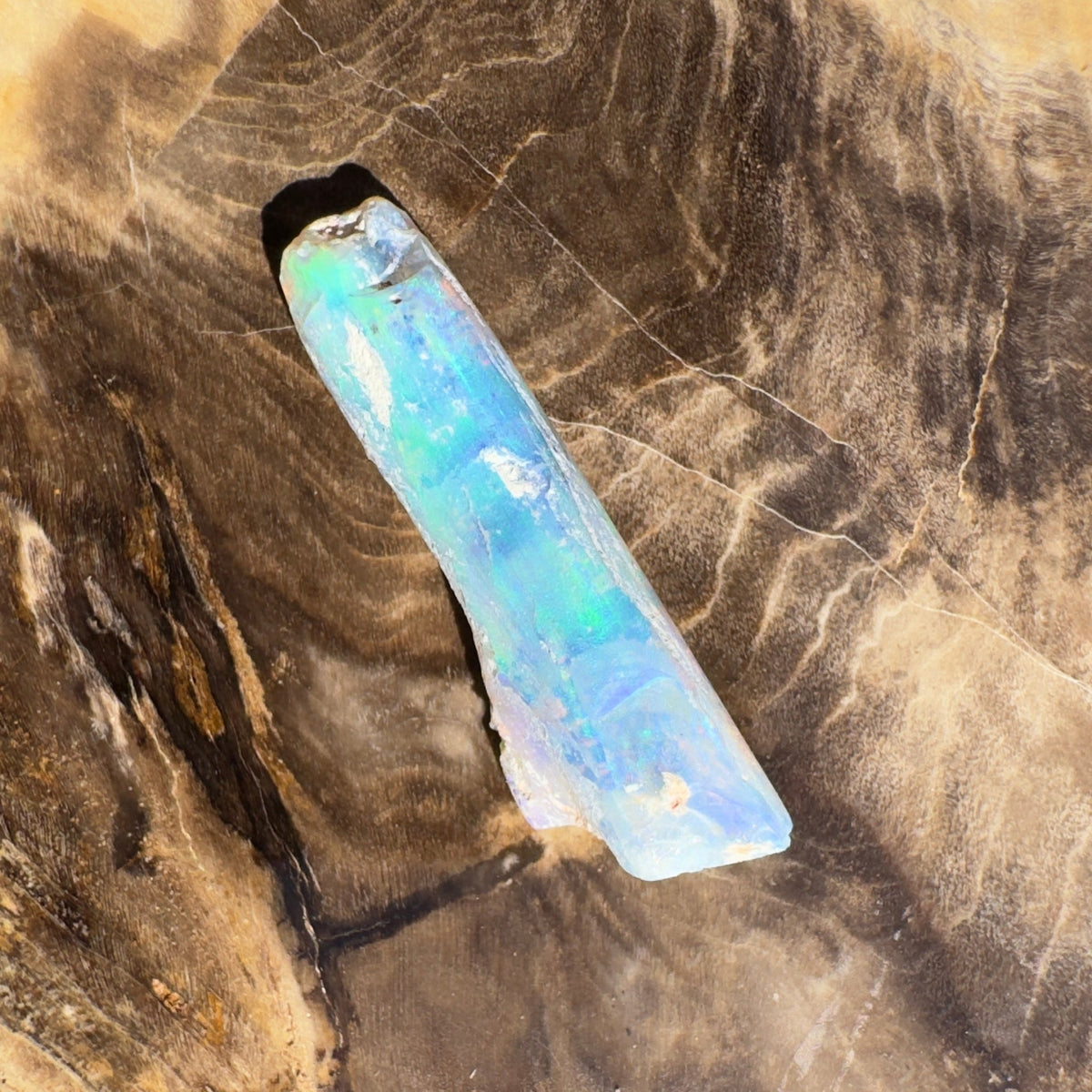 4.2ct Coober Pedy Fossil | Solid Australian Opal | Hand-Cut