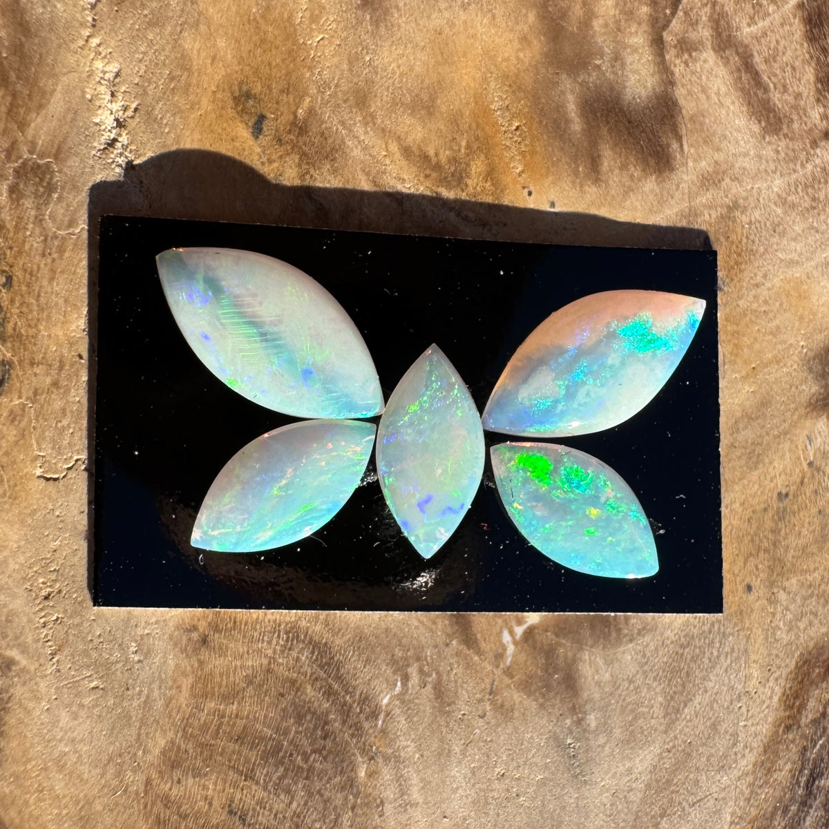 1.8ct Coober Pedy Opal Butterfly Set | Solid Australian Opal | Hand-Cut