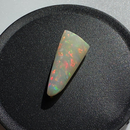 Australian Coober Pedy Belemnite Opal (Squid) 2.6carat Solid Hand Cut Luxury - Iona Opal Australia