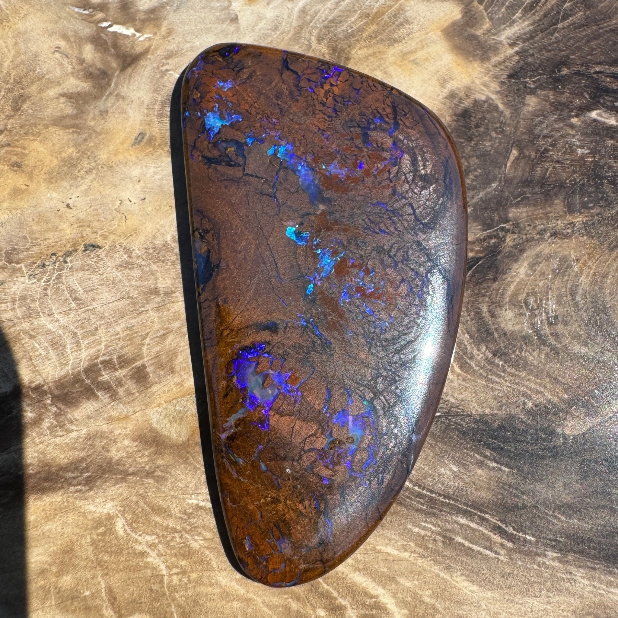 48.3ct Solid Queensland Boulder Opal