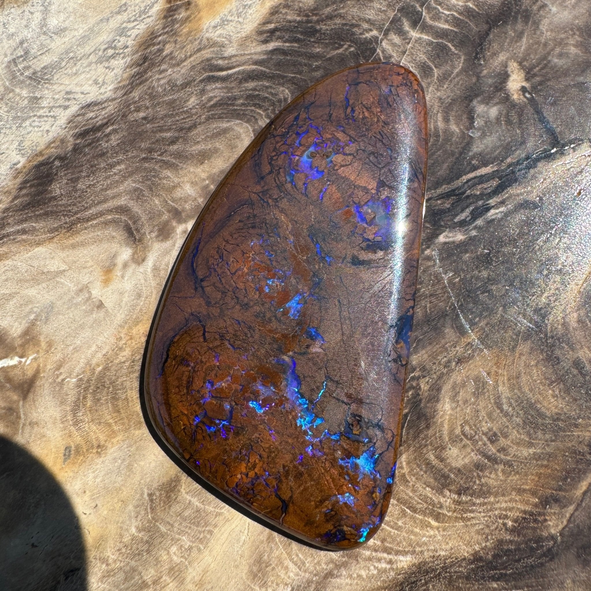 48.3ct Solid Queensland Boulder Opal