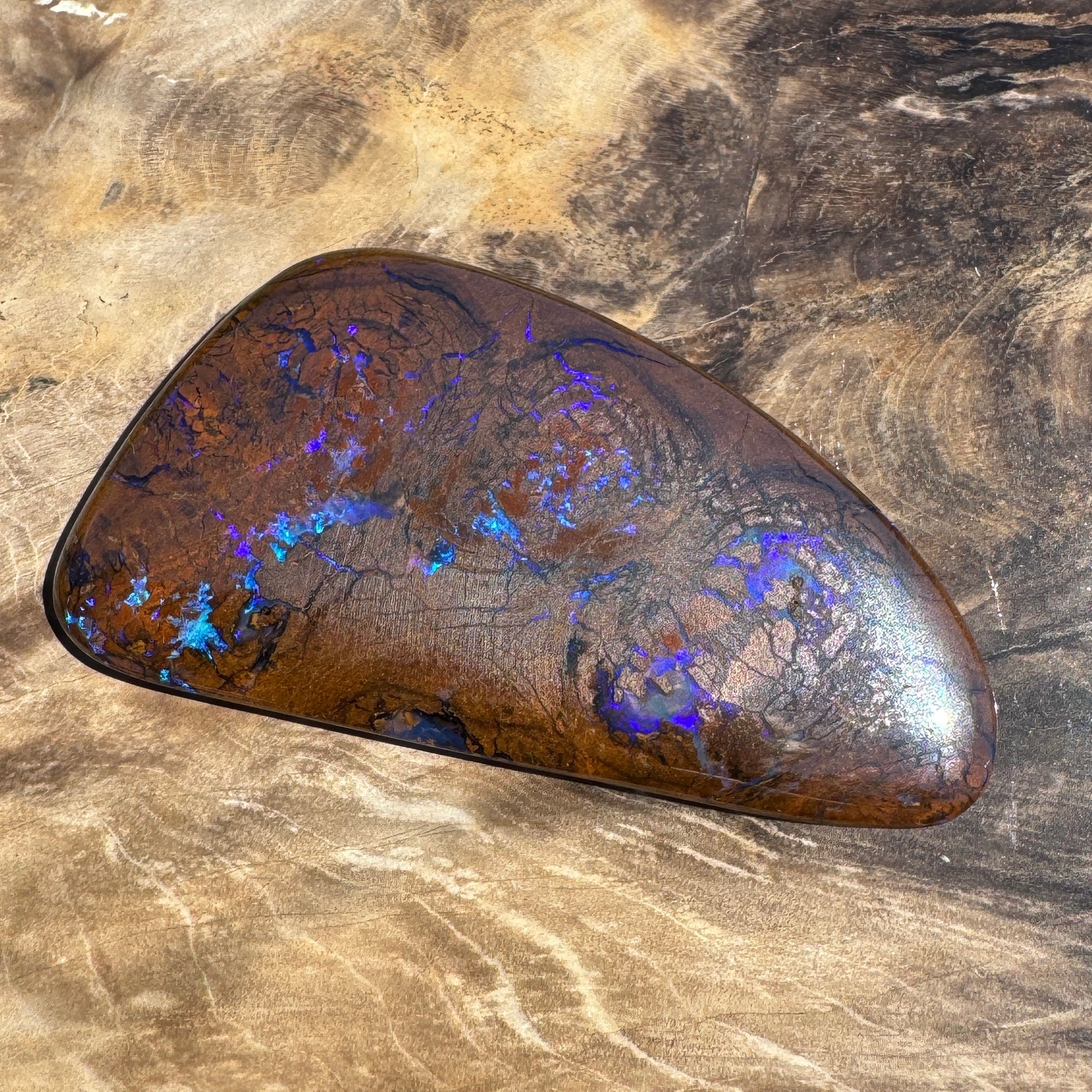 48.3ct Solid Queensland Boulder Opal