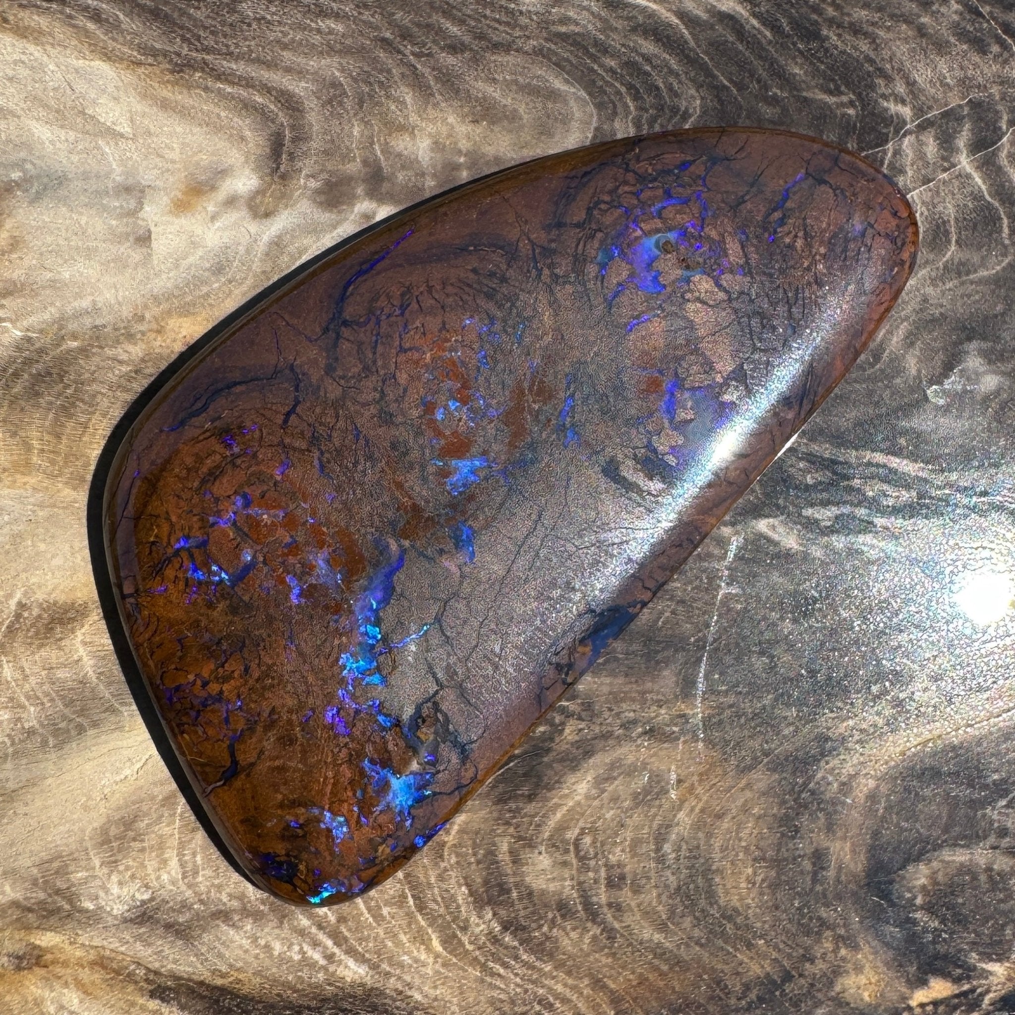 48.3ct Solid Queensland Boulder Opal