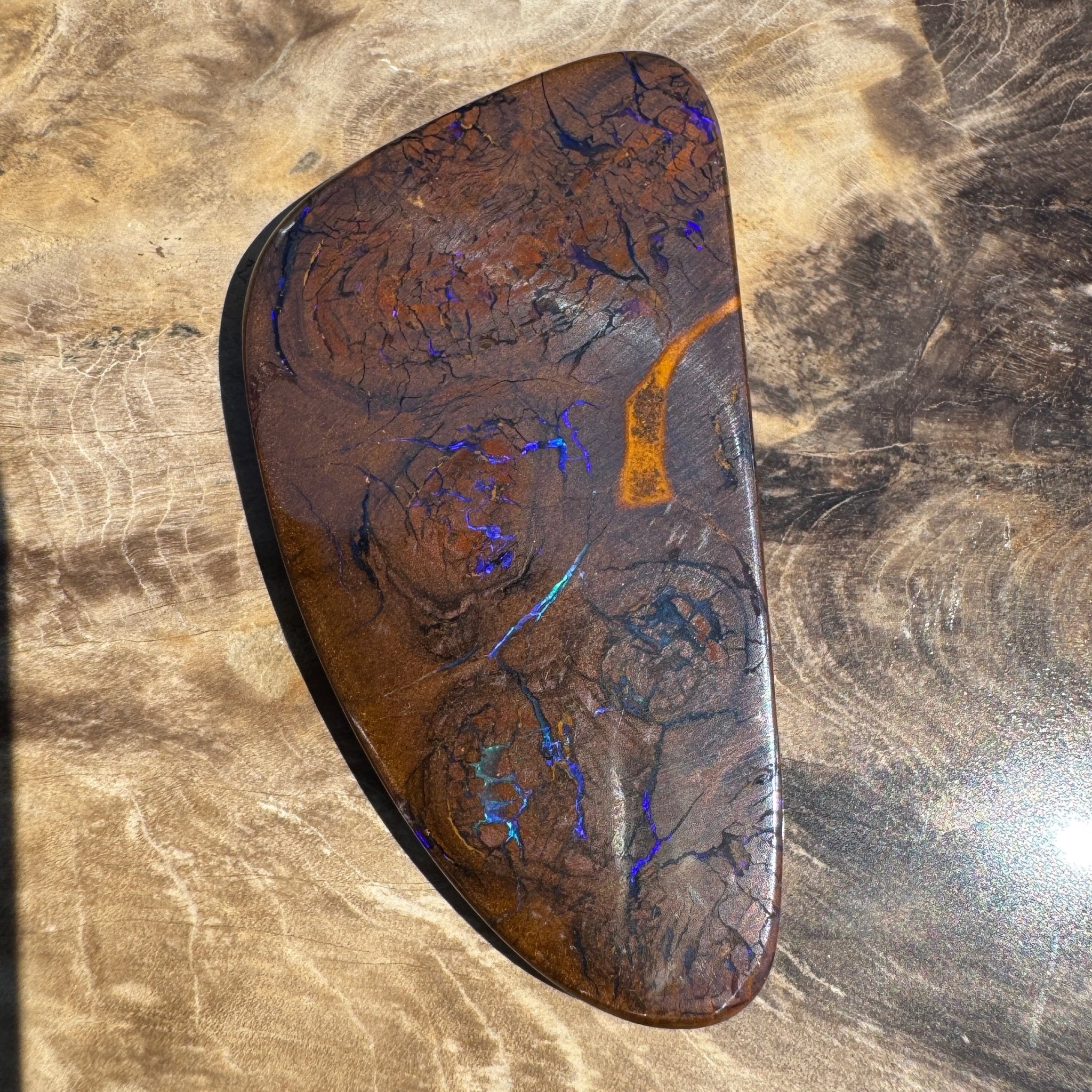48.3ct Solid Queensland Boulder Opal