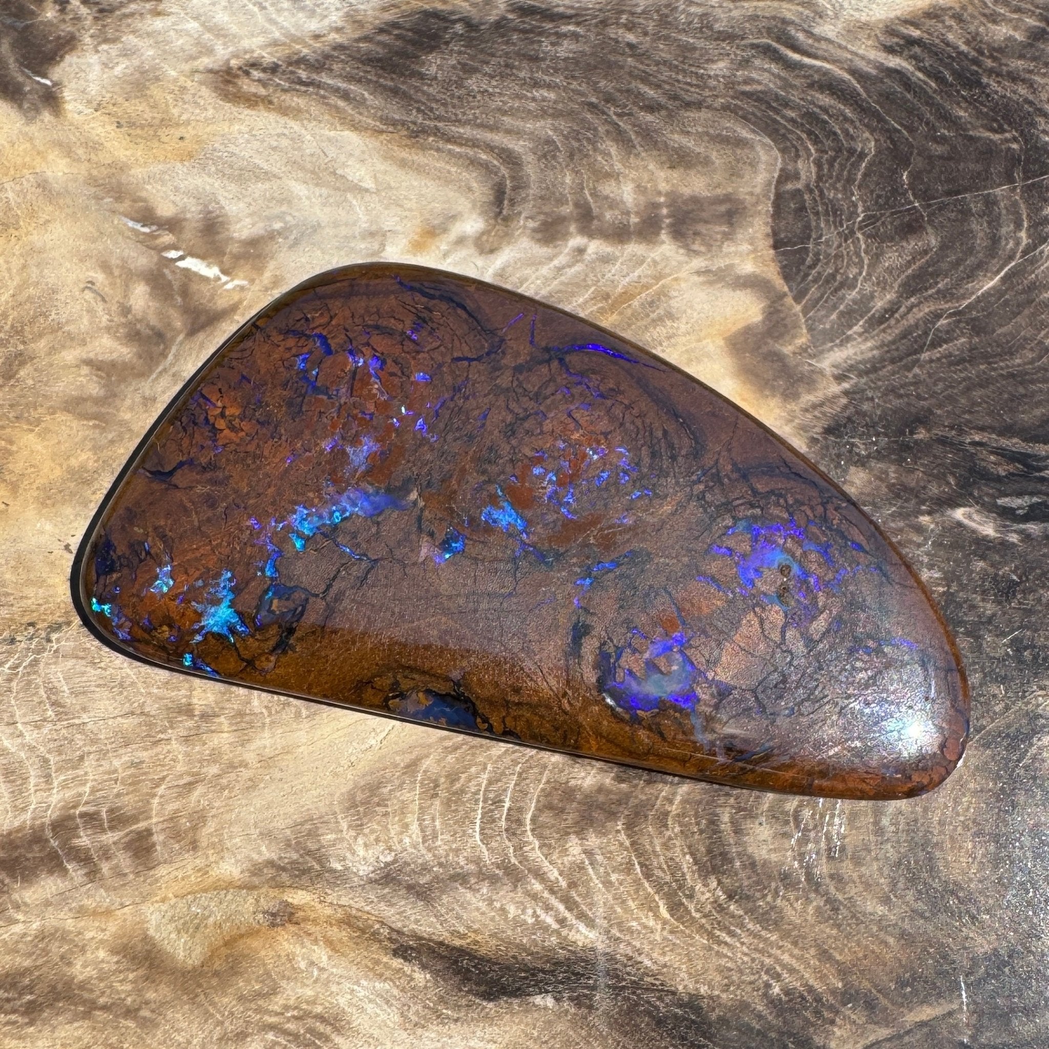 48.3ct Solid Queensland Boulder Opal