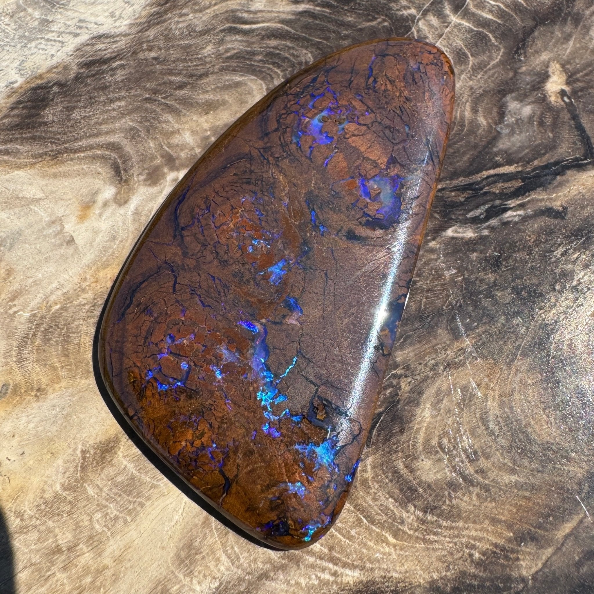 48.3ct Solid Queensland Boulder Opal