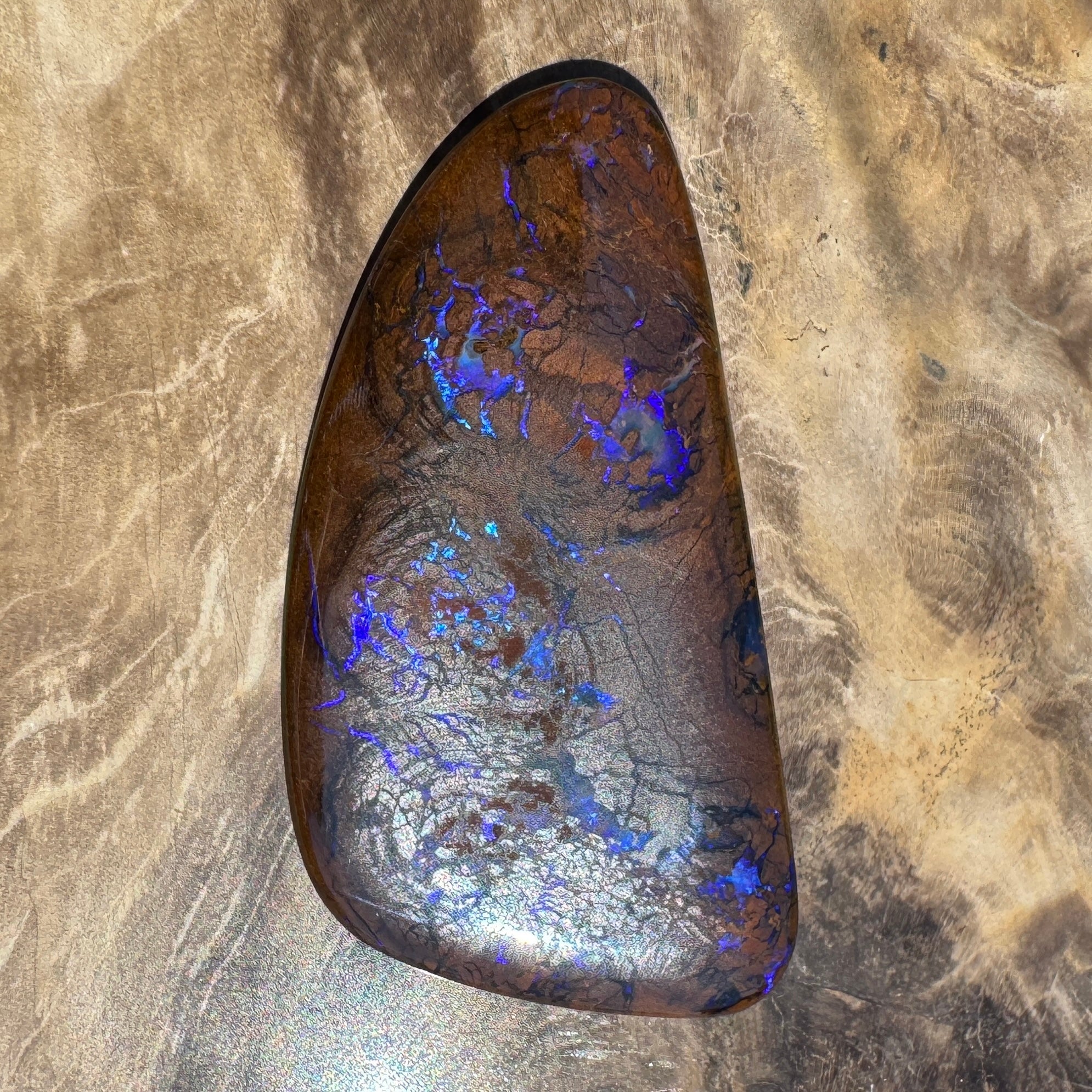 48.3ct Solid Queensland Boulder Opal