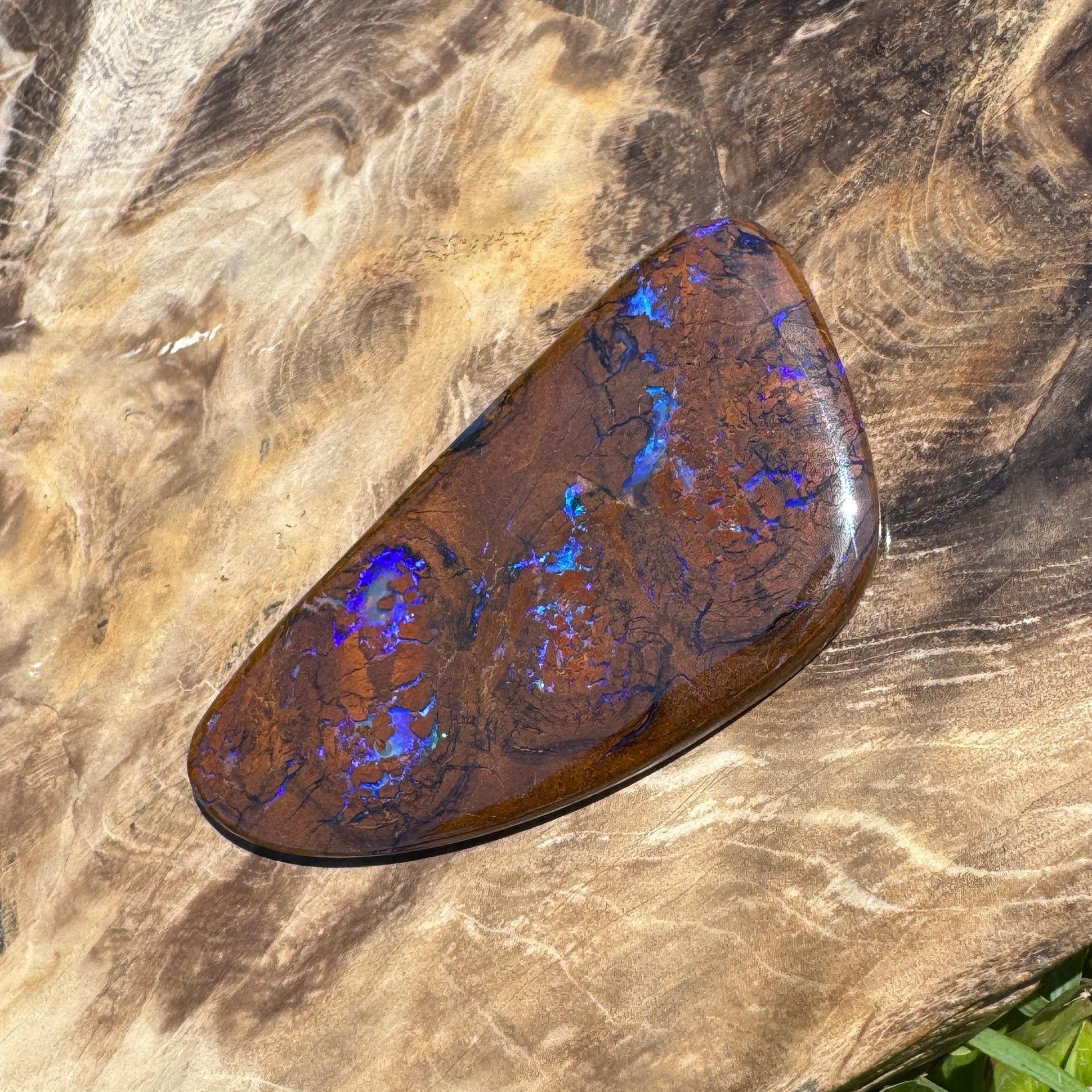 48.3ct Solid Queensland Boulder Opal