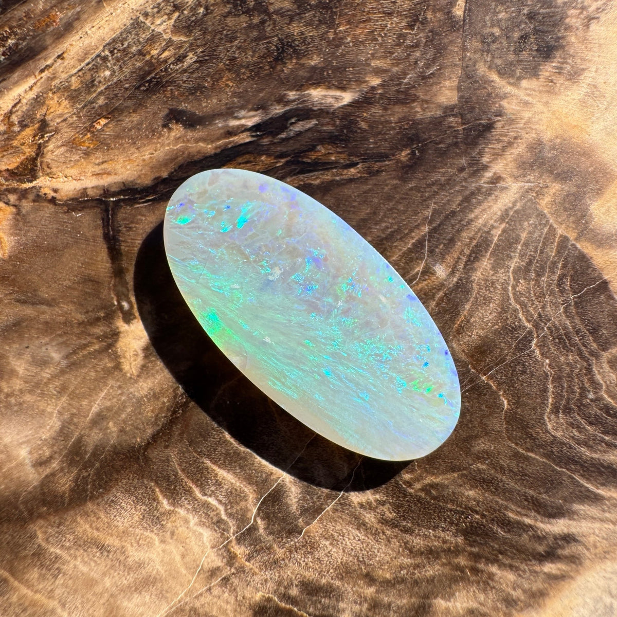 4.8ct Lightning Ridge Semi Black | Solid Australian Opal | Hand-Cut
