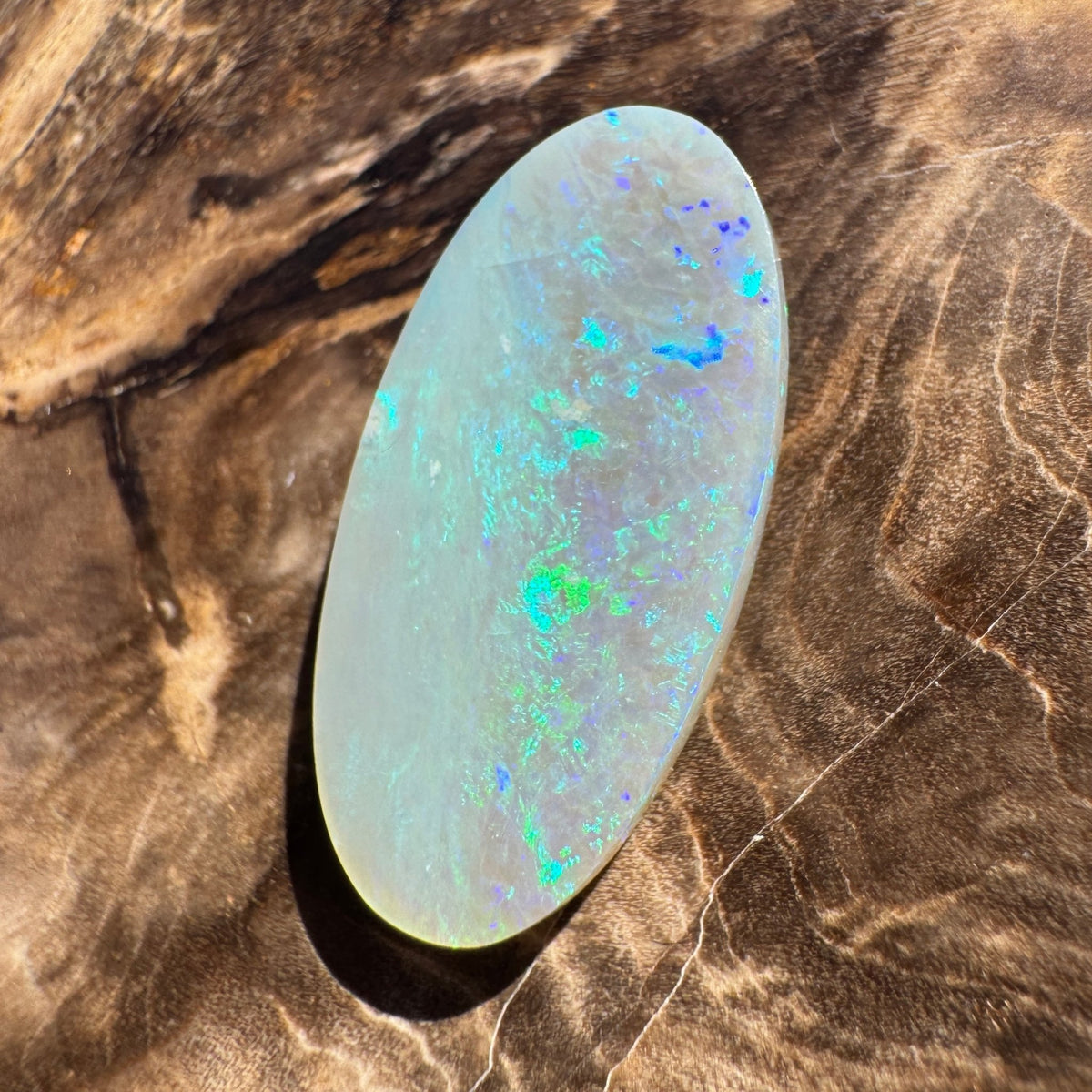 4.8ct Lightning Ridge Semi Black | Solid Australian Opal | Hand-Cut