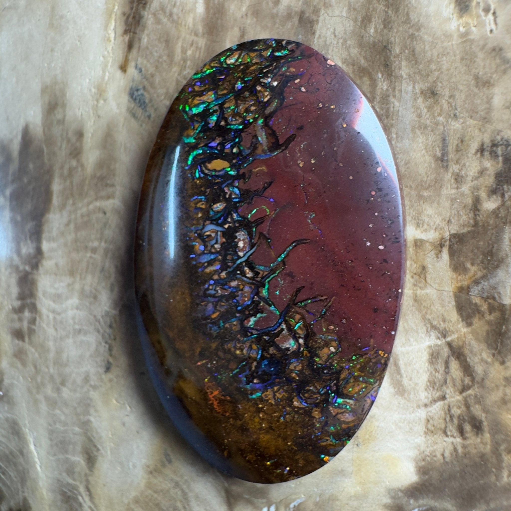 49.7ct Solid Queensland Boulder Opal