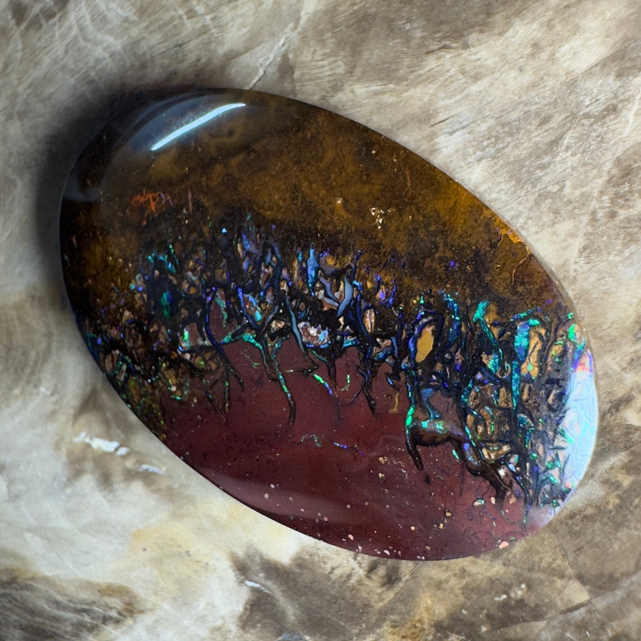 49.7ct Solid Queensland Boulder Opal