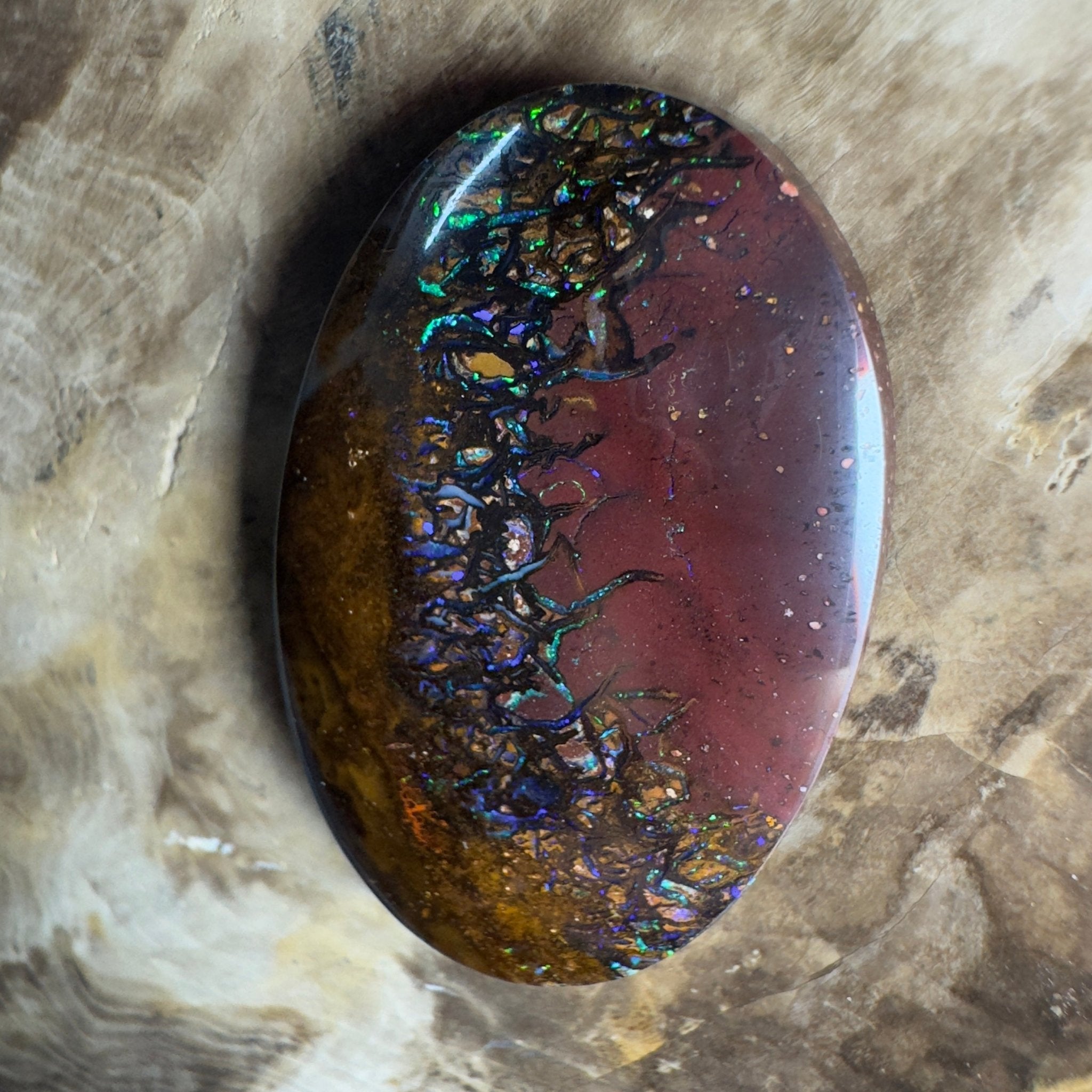 49.7ct Solid Queensland Boulder Opal