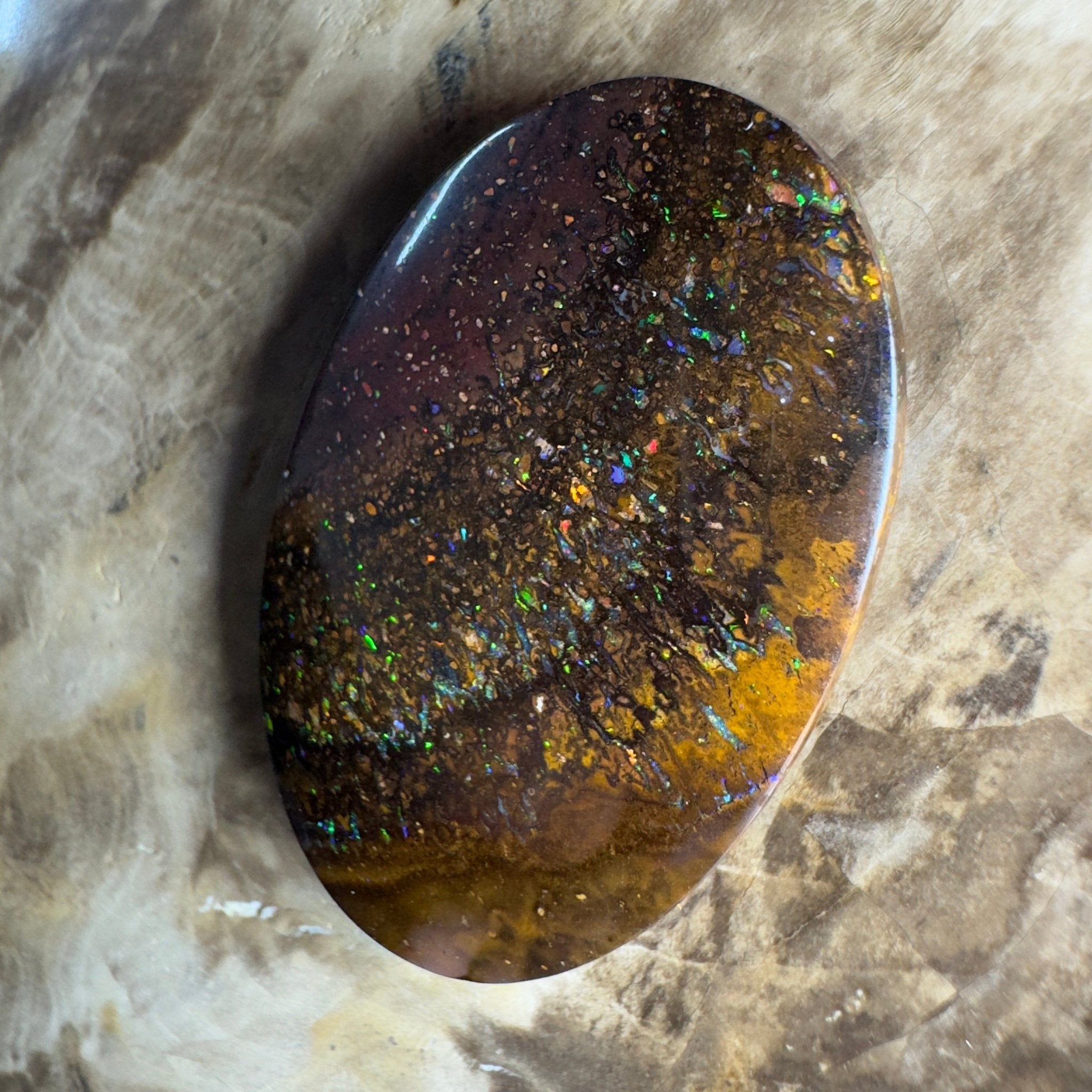 49.7ct Solid Queensland Boulder Opal