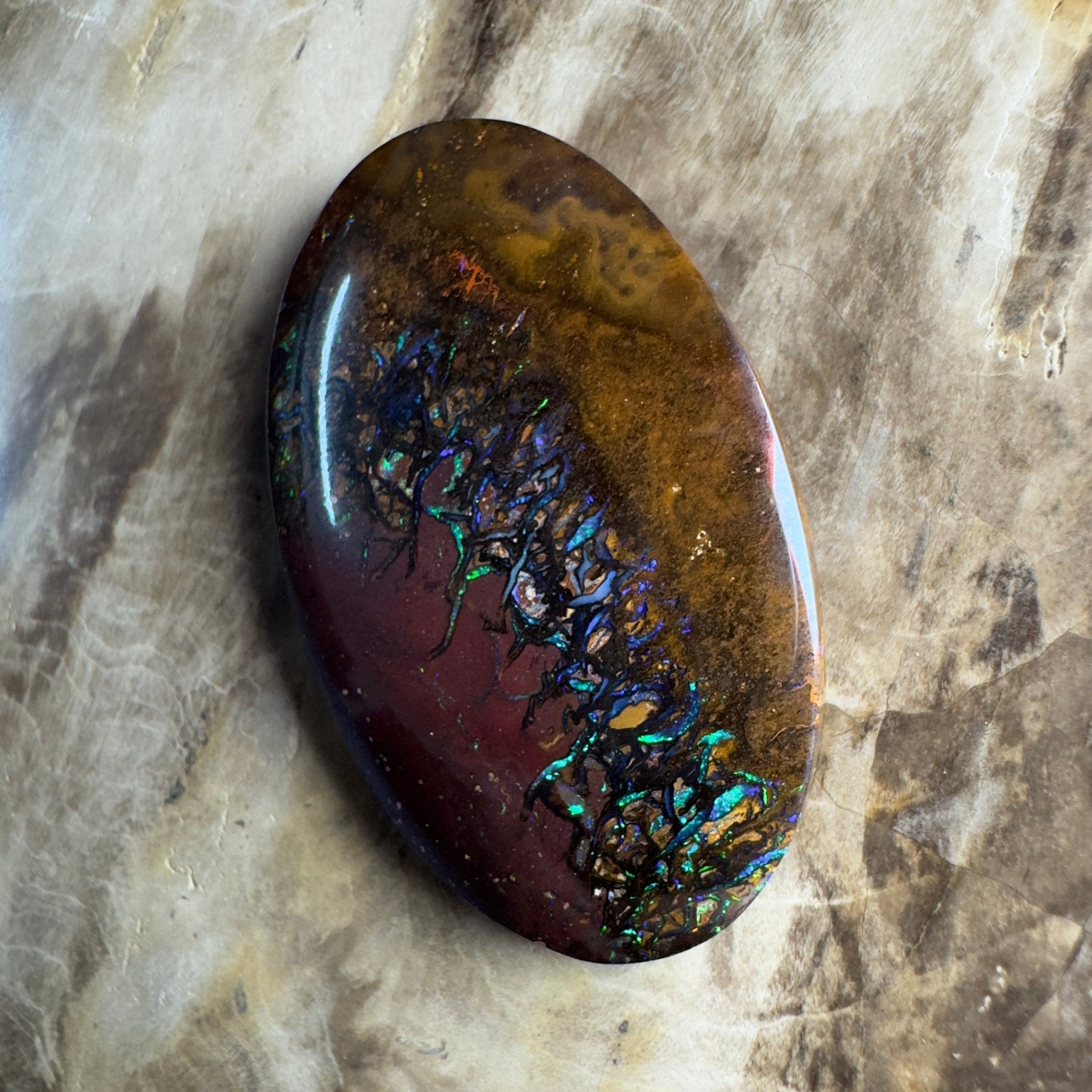 49.7ct Solid Queensland Boulder Opal