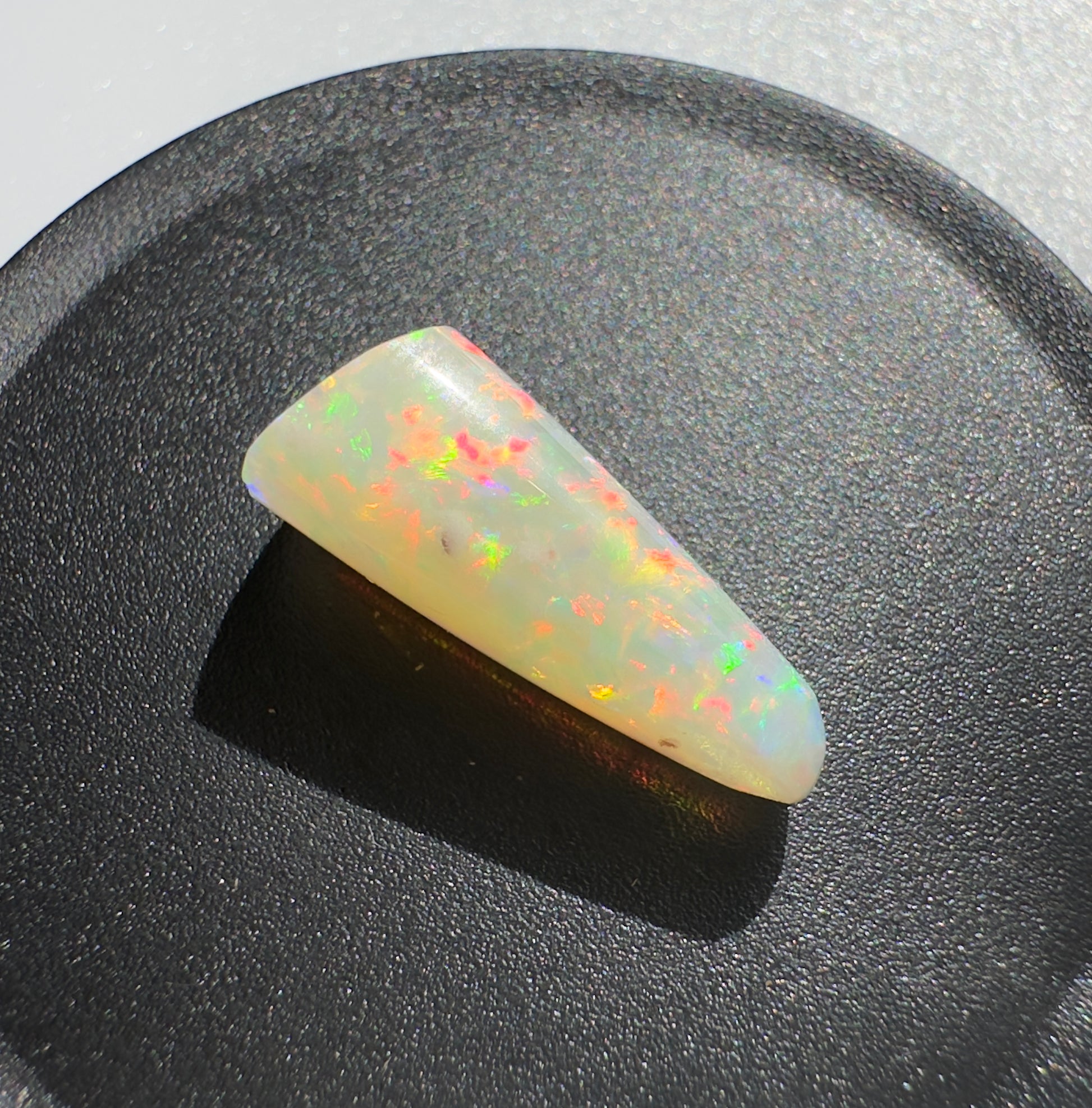 Australian Coober Pedy Belemnite Opal (Squid) 2.6carat Solid Hand Cut Luxury - Iona Opal Australia