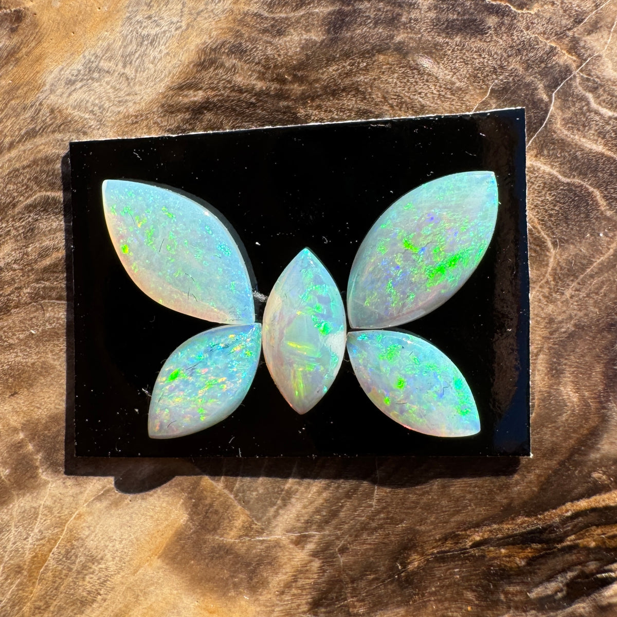 1.8ct Parcel Coober Pedy Opal Butterfly Set | Solid Australian Opal | Hand-Cut