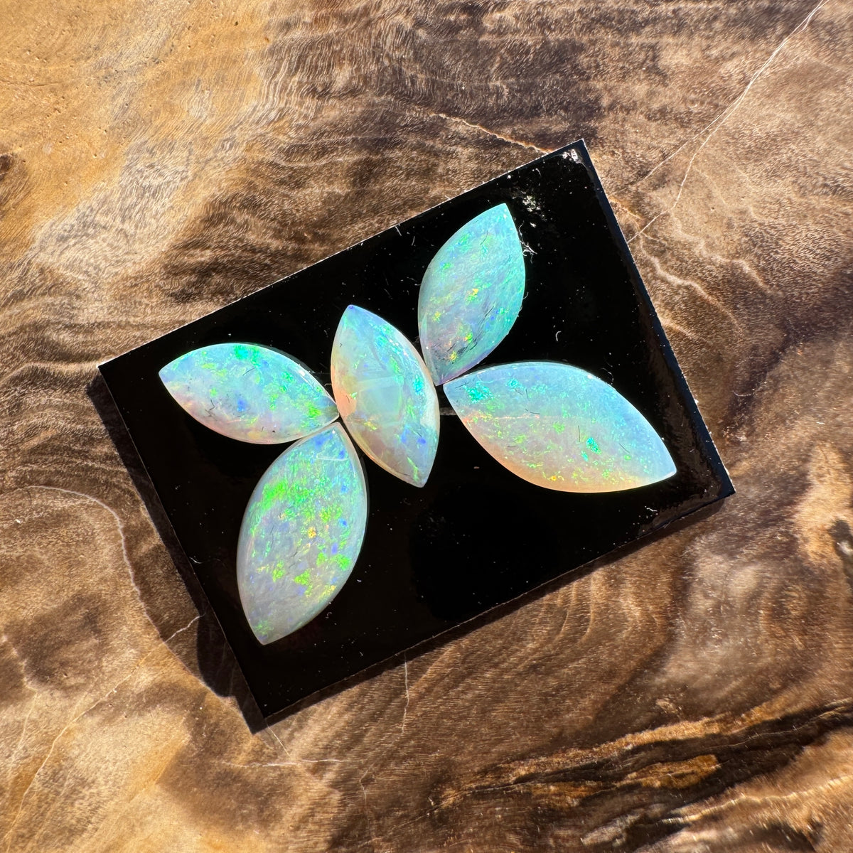 1.8ct Parcel Coober Pedy Opal Butterfly Set | Solid Australian Opal | Hand-Cut