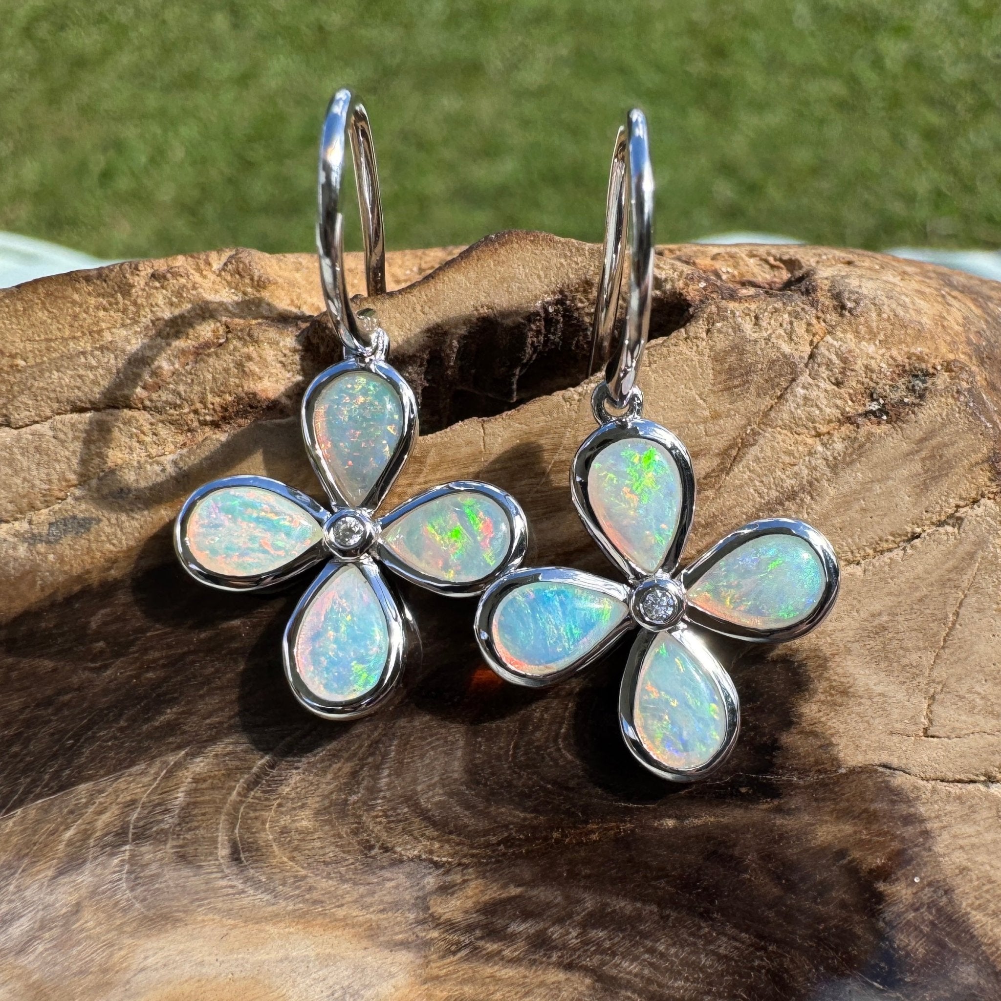 4ct Lightning Ridge Opal Hook Earrings ~ 'Agnes Water Dance' | 925 Sterling Silver | Solid Australian Opal