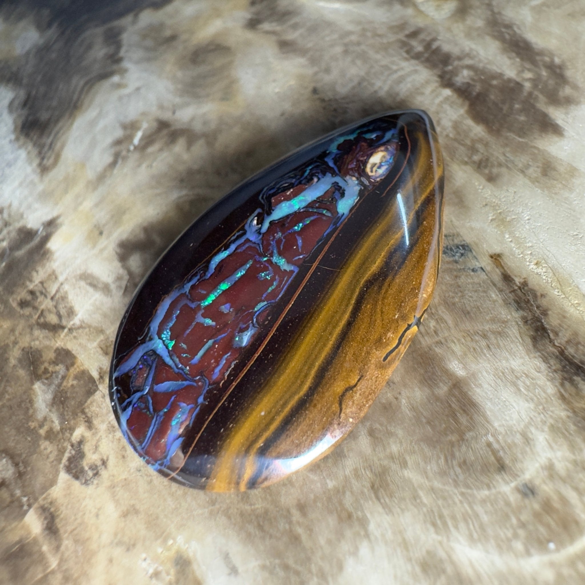 54.3ct Solid Queensland Boulder Opal