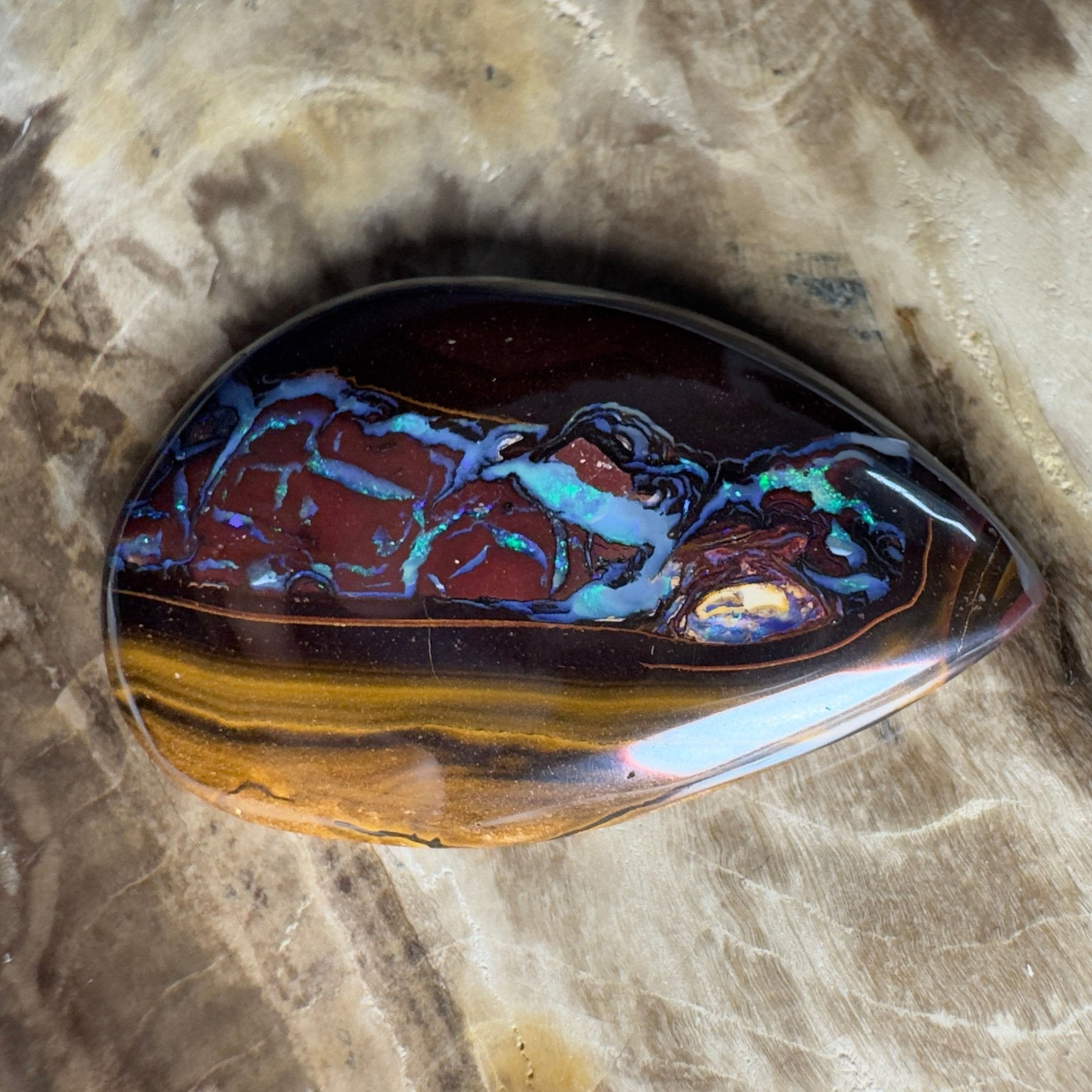 54.3ct Solid Queensland Boulder Opal